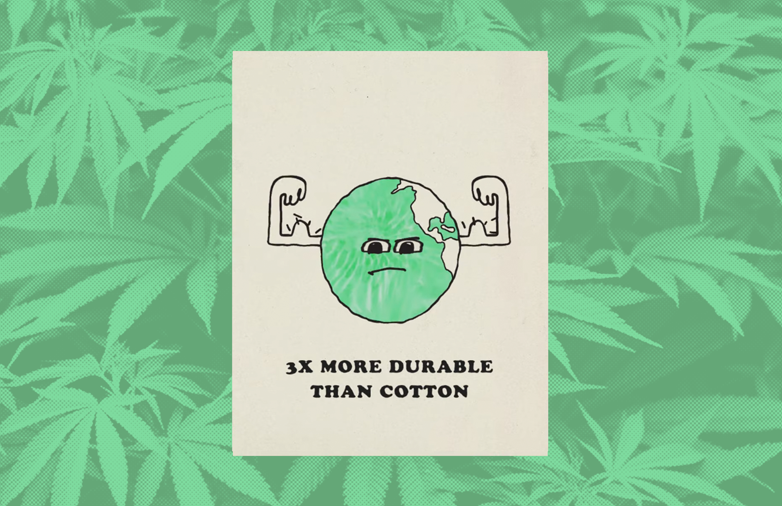 HEMP SLIDE 9.png