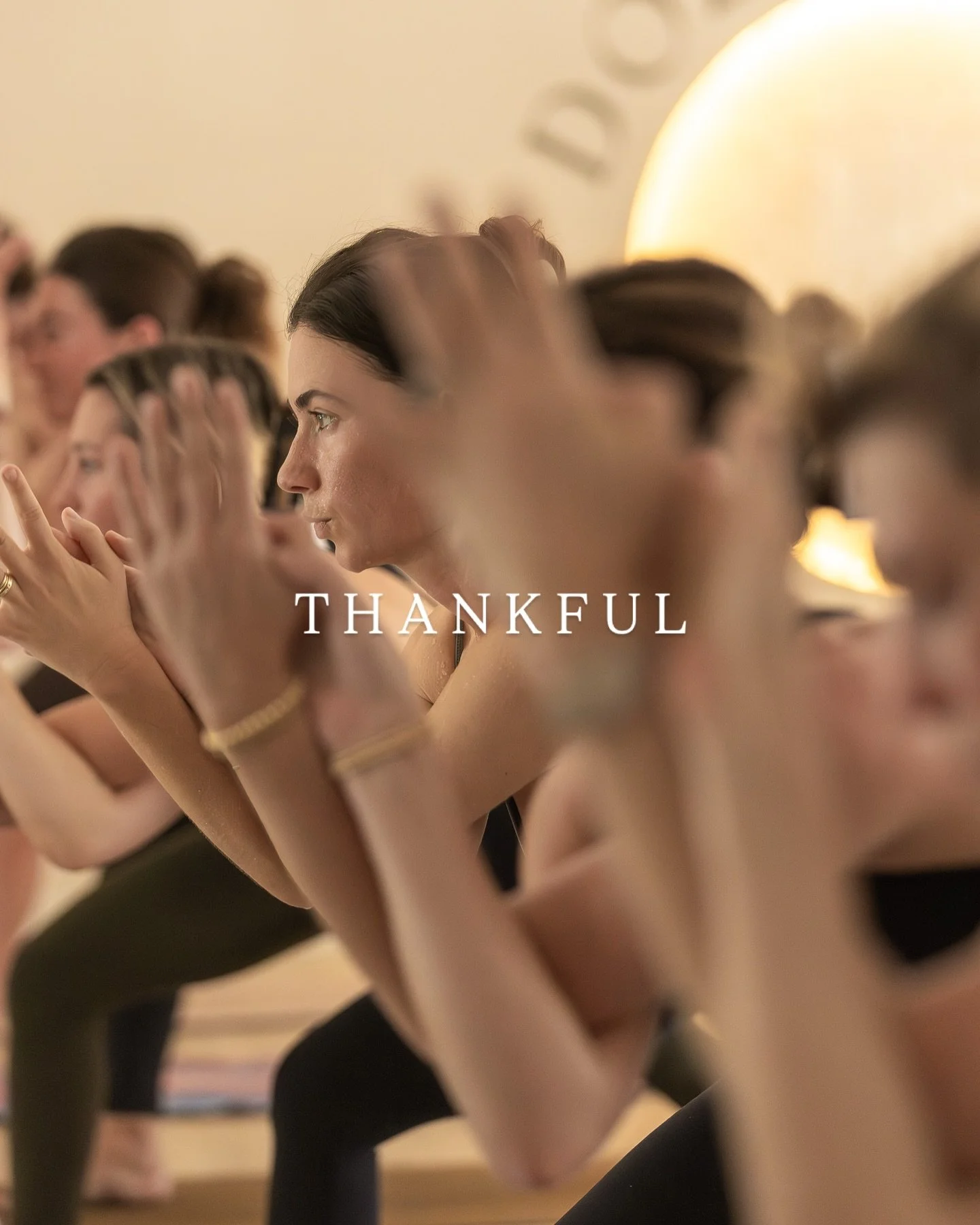 This morning in our Doza group chat many of us shared our gratitude. The common themes were friendship, support, love, community, and how truly special it all feels to have each other and be a part of something beyond ourselves. The greater good of g