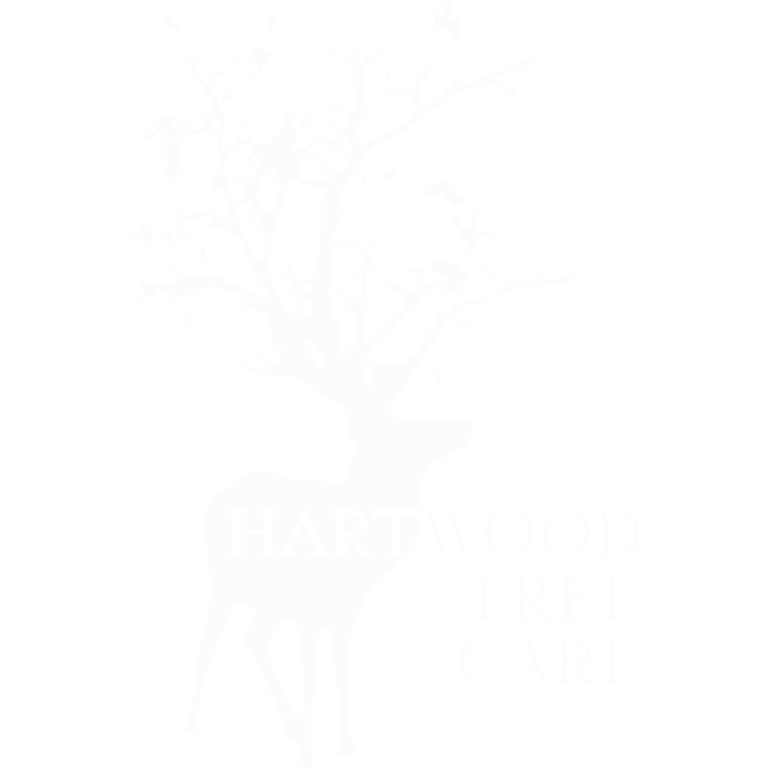 Tree Stump Removal Services Northern Indiana Southern Michigan Tree Stump Removal Services Northern Indiana Southern Michigan