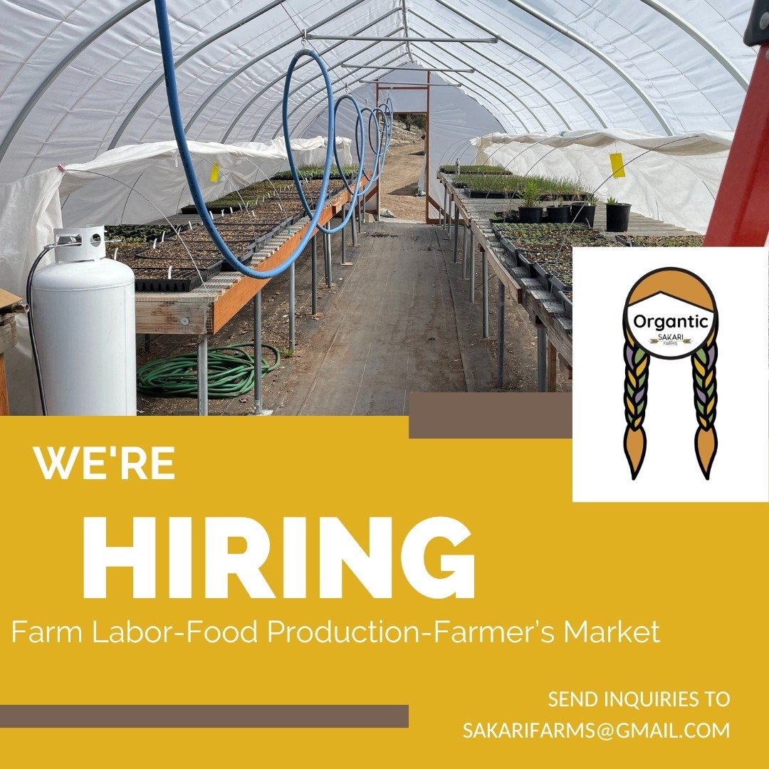 Still needing IMMEDIATE Food Production help! 
Also have a cool Farmers Market/Festival Booth gig up for grabs this summer!
Shoot us an email for inquiries-
sakarifarms@gmail.com
#work #summer