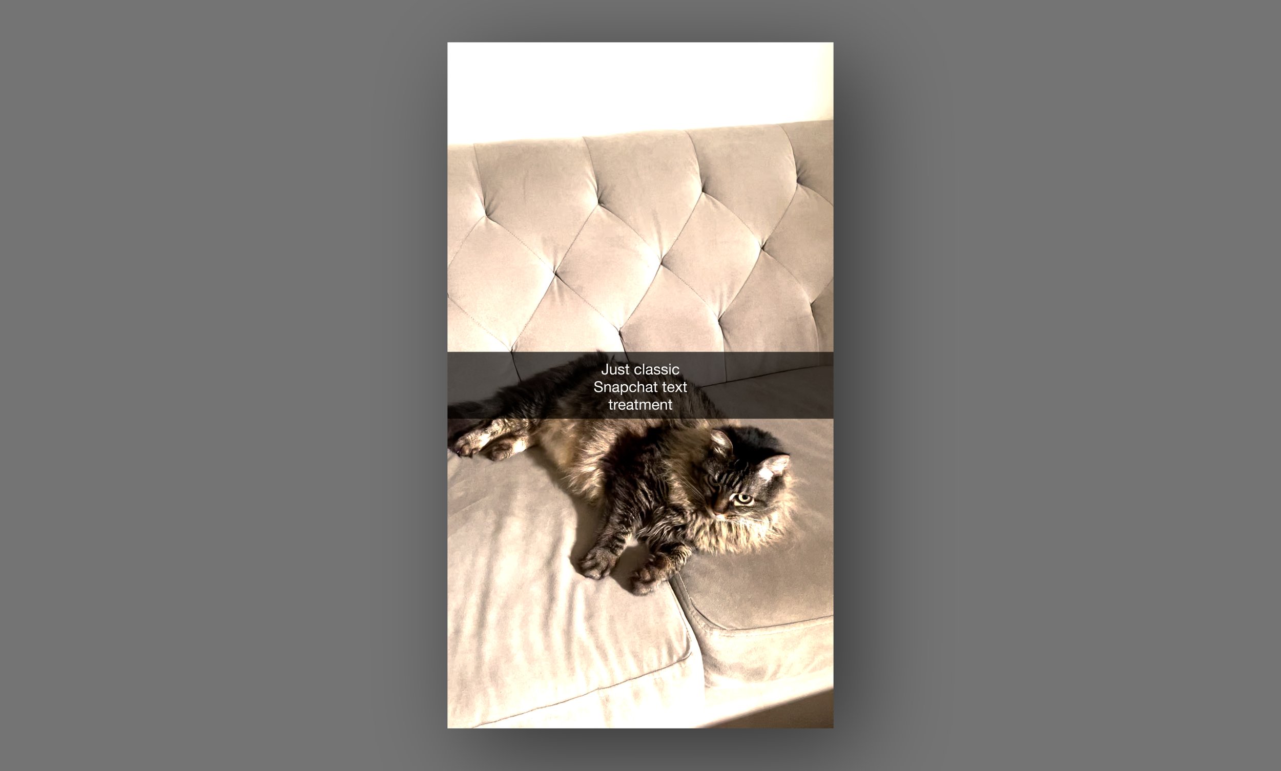 Example_SC_Image.00_00_00_00.Still001.jpg