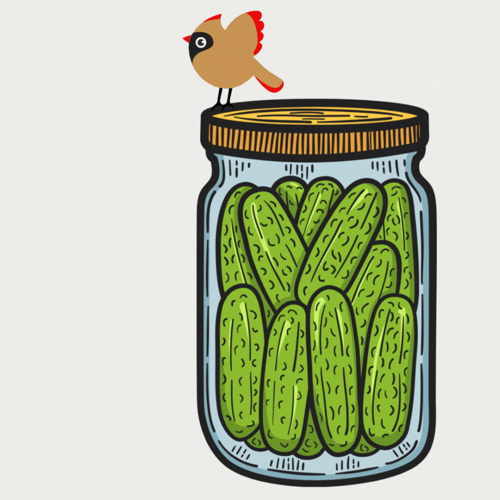 Pickle Recipes — Sustainability Matters