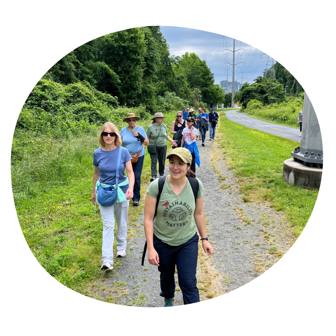 Nature Walk