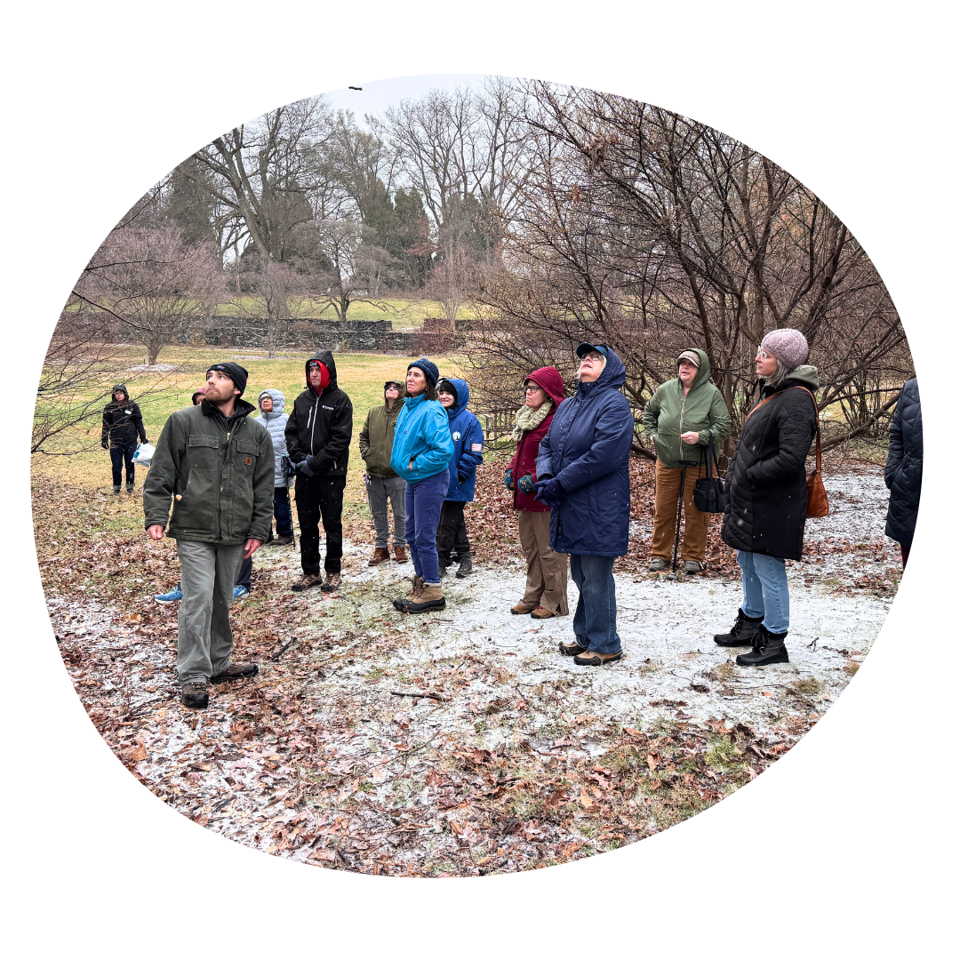Winter Tree ID &amp; Potluck