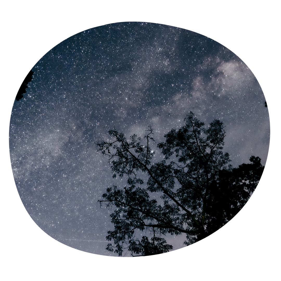 Dark Skies, Bright Futures