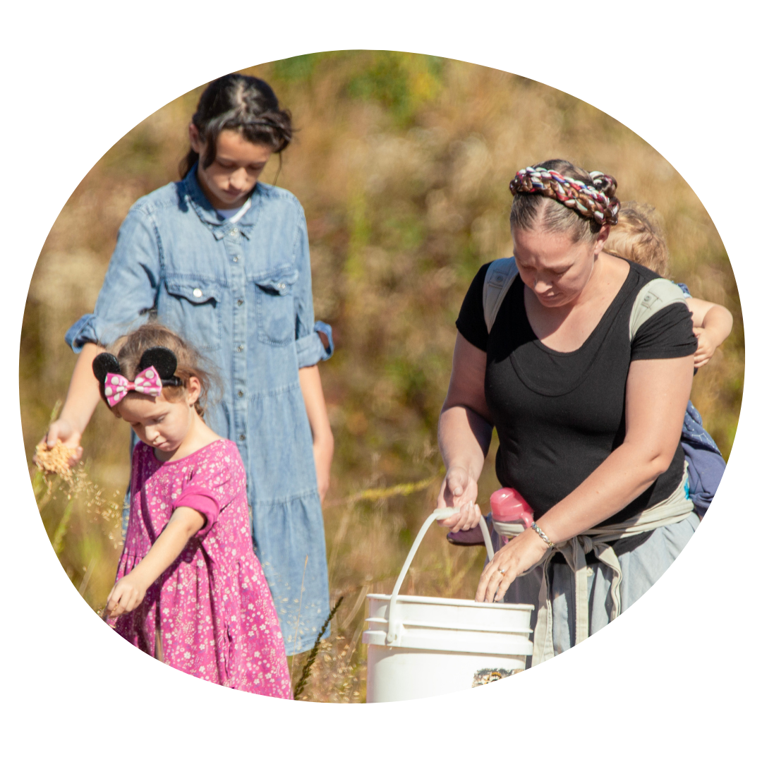 Winchester Meadow Makers