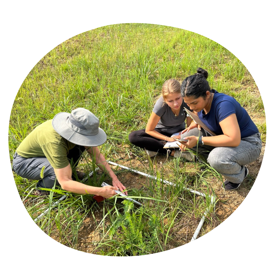 Rappahannock Plant Count