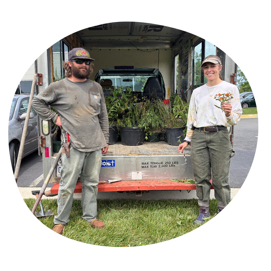 Plant Rescue