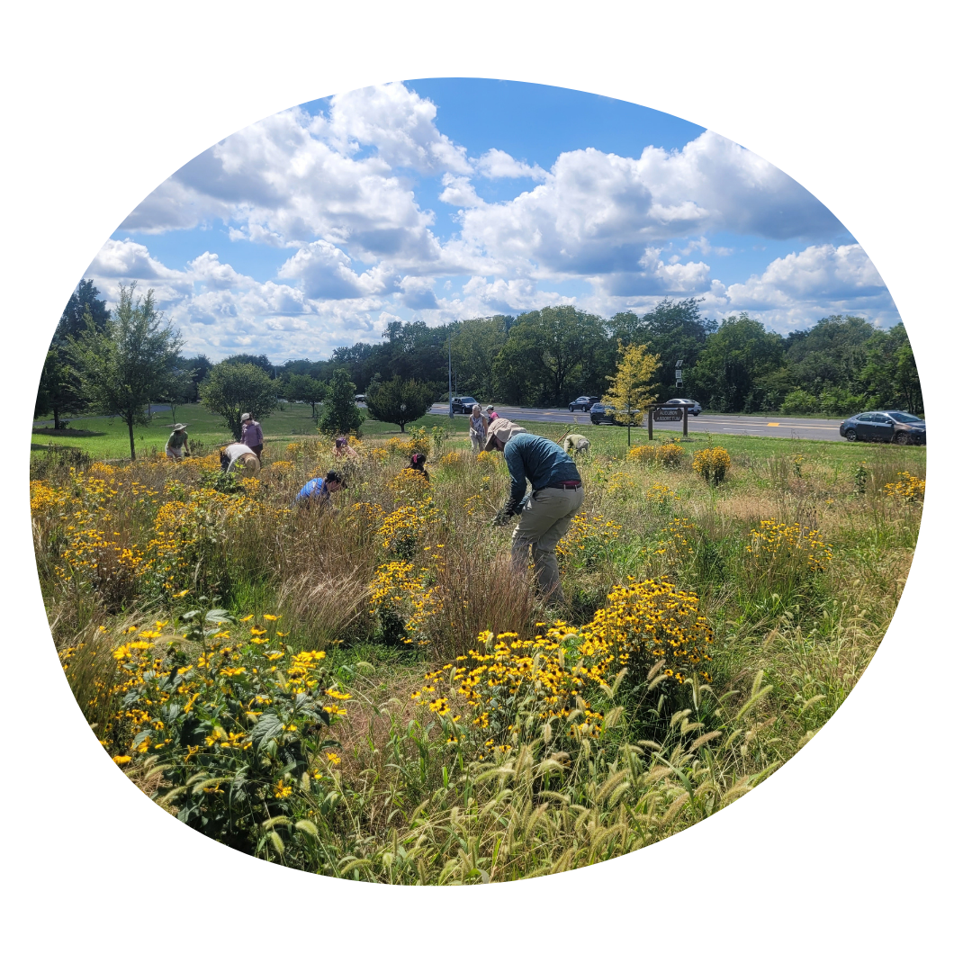 Winchester Meadow Makers