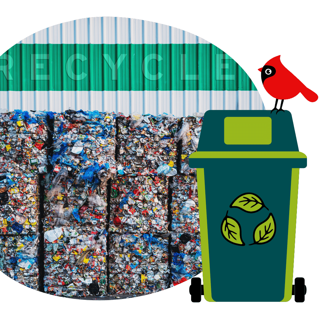 What s Up With Recycling Sustainability Matters what-s-up-with-recycling-sustainability-matters