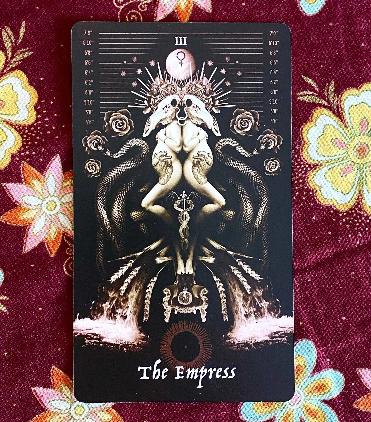 Just received this gorgeous #Empress #tarotcard from the Pazzol Tarot deck, for my magpie deck!  It&rsquo;s so hauntingly beautiful.  #pazzoltarotdeck #tarotcards #magpietarotdeck #tarotreadersofinstagram