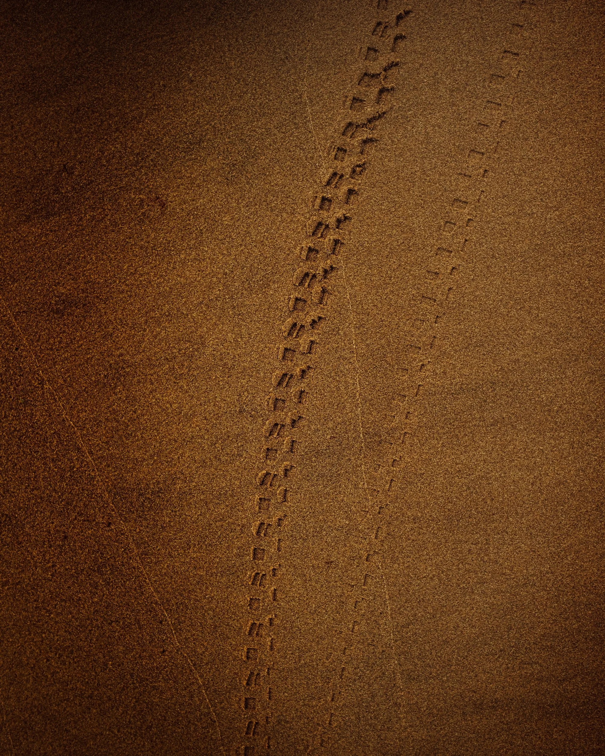 unsplash-image-qZyx6E7pHyk.jpg