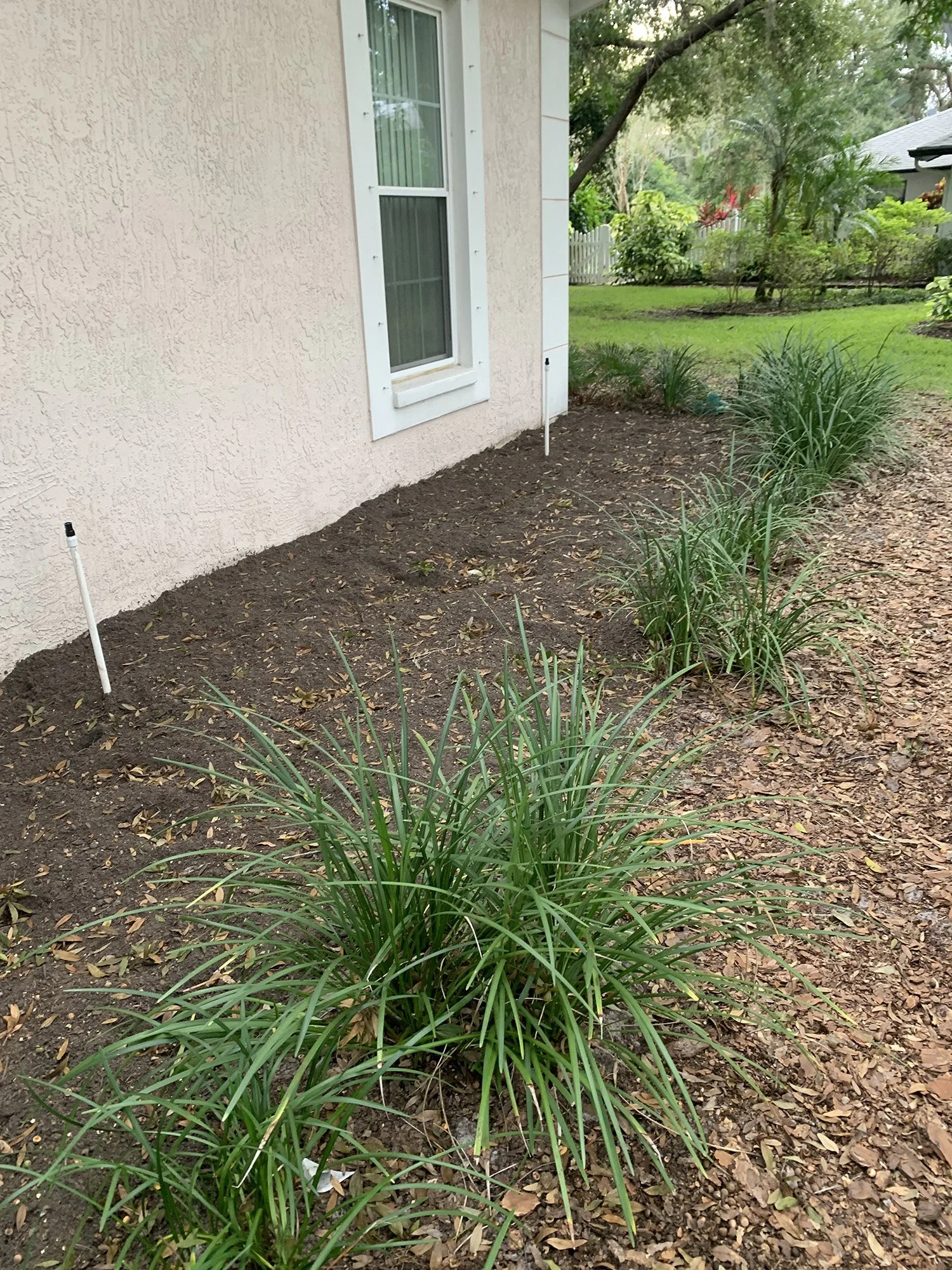 House border beyond the walkway
