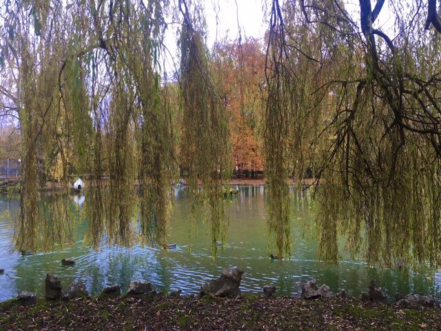 Nice walk in downtown Lons-le-Saunier this morning. A little bit later than yesterday..