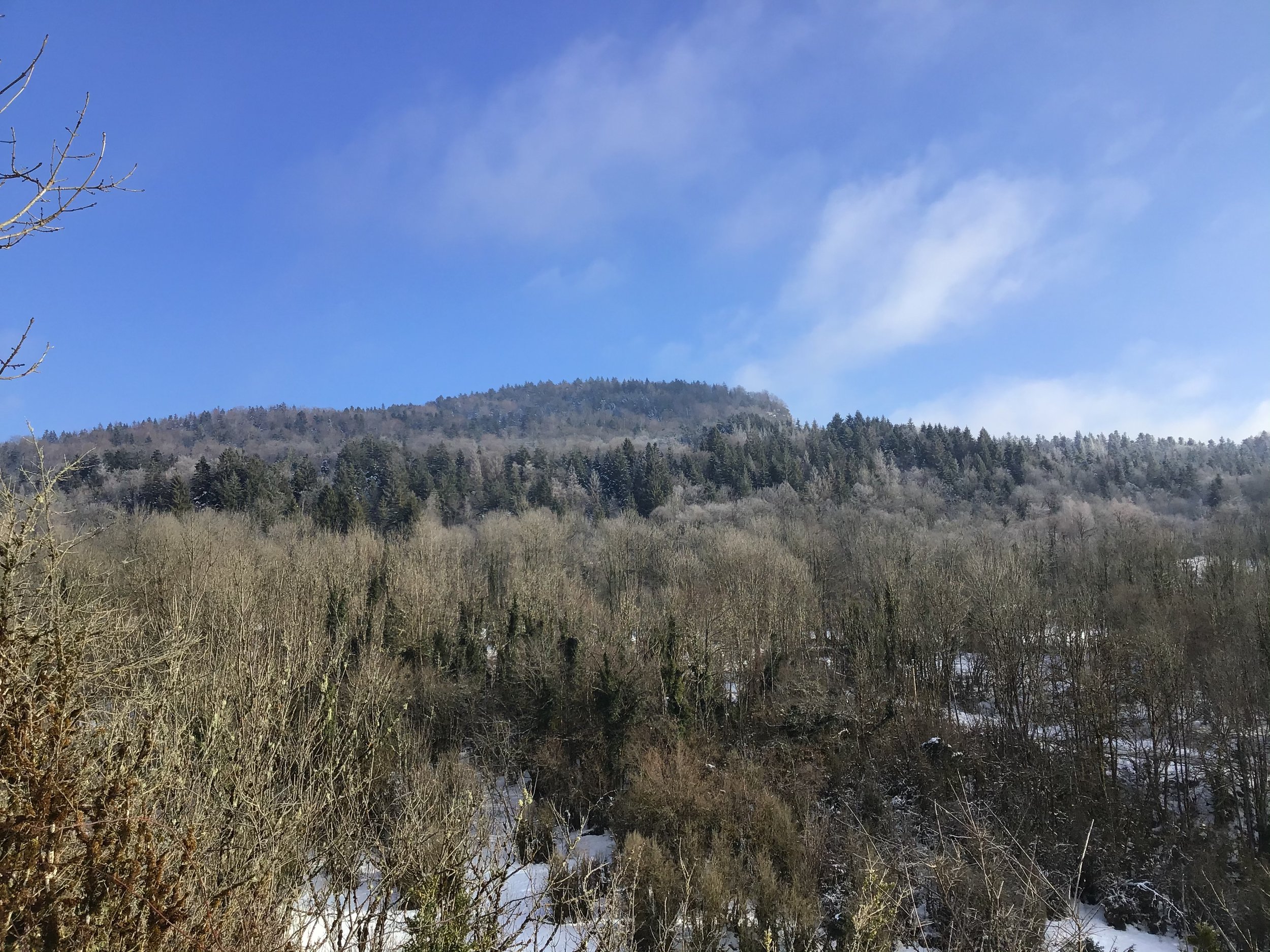 D94453BA-6CF6-4B4B-A31A-9D18C4C44FD4.jpeg