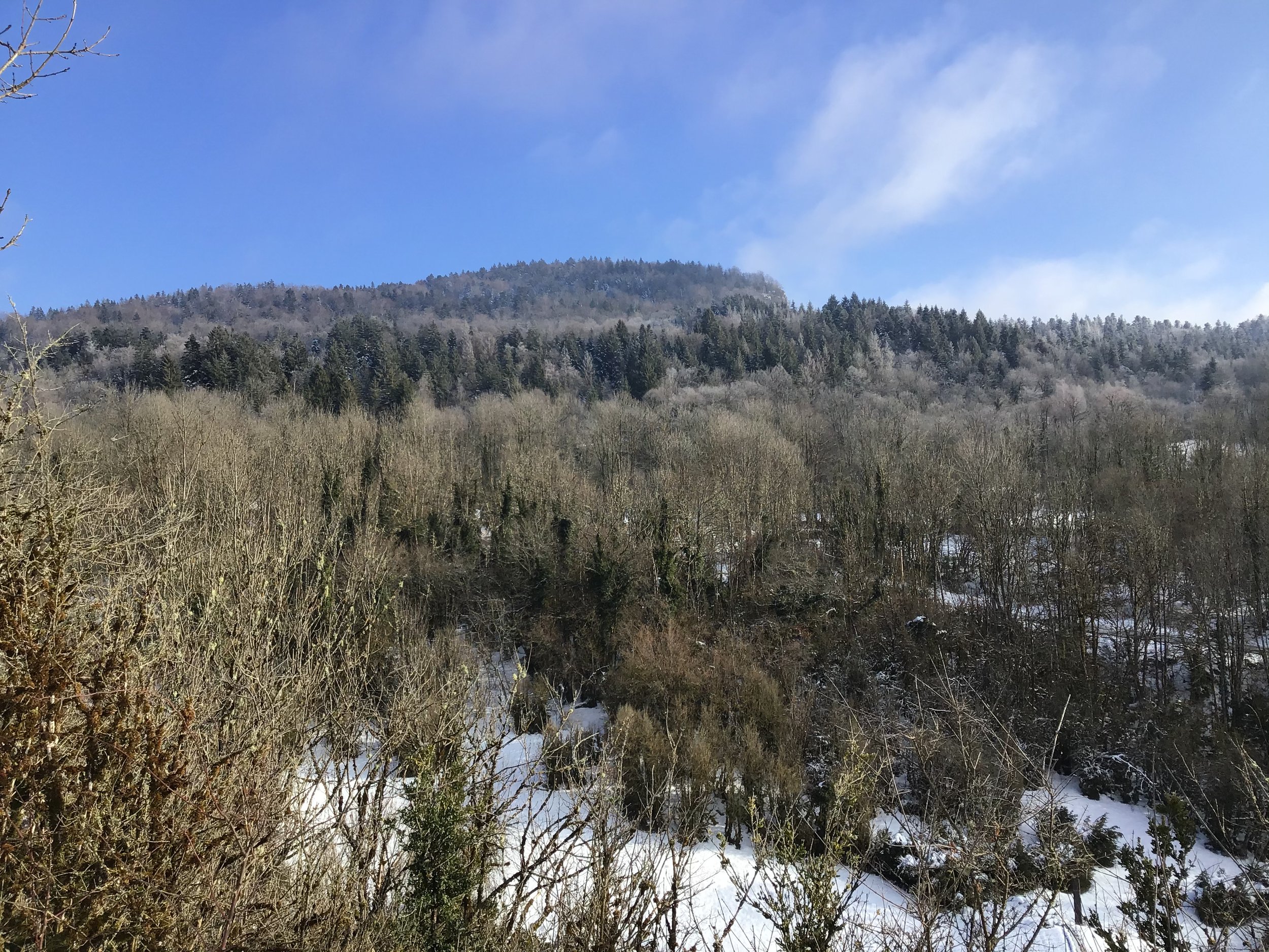 9E0635F8-6966-4AE8-86FD-DF79291E4C15.jpeg