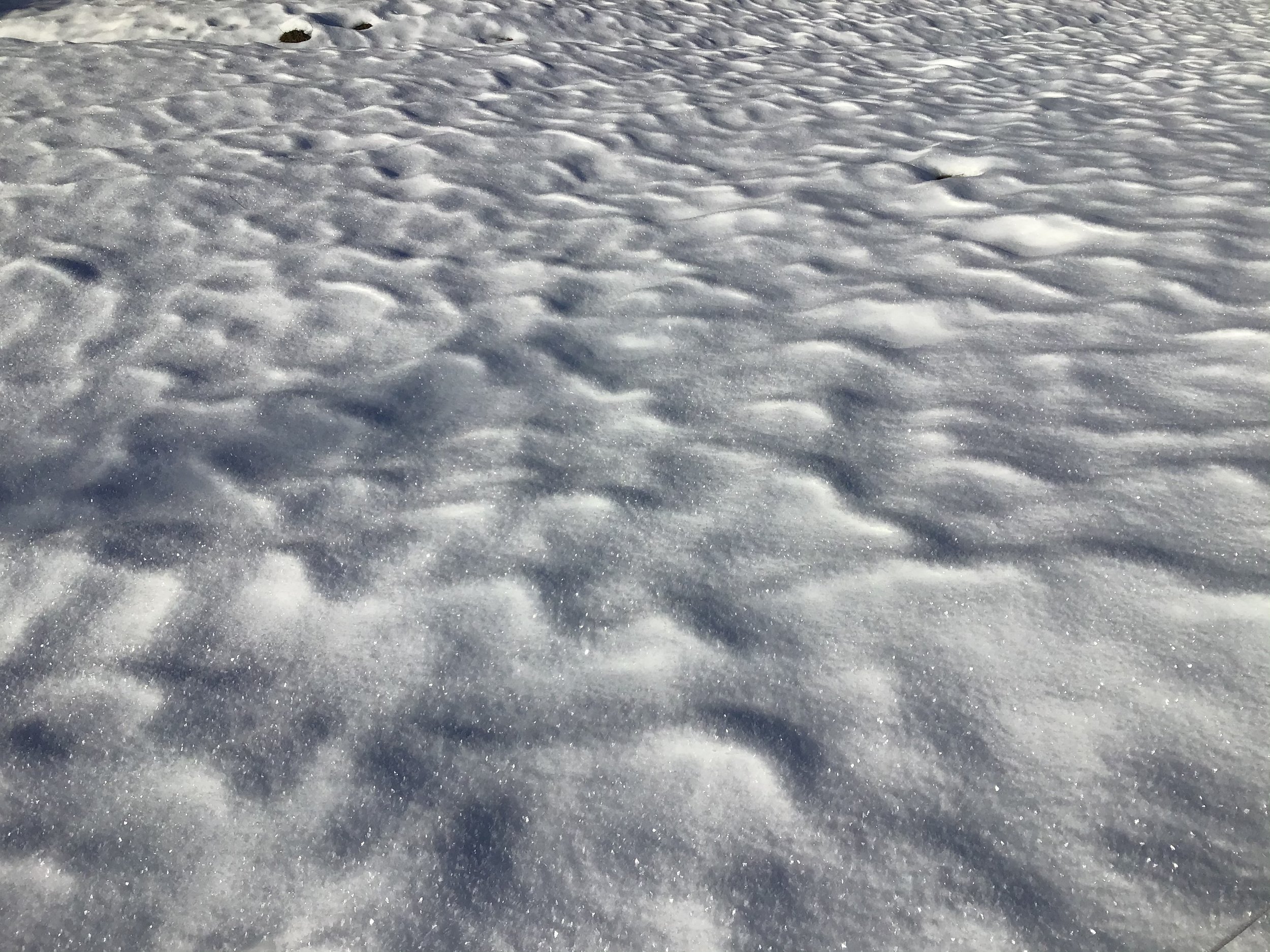 EC3254C7-CF47-4141-B370-53B62CFB7058.jpeg