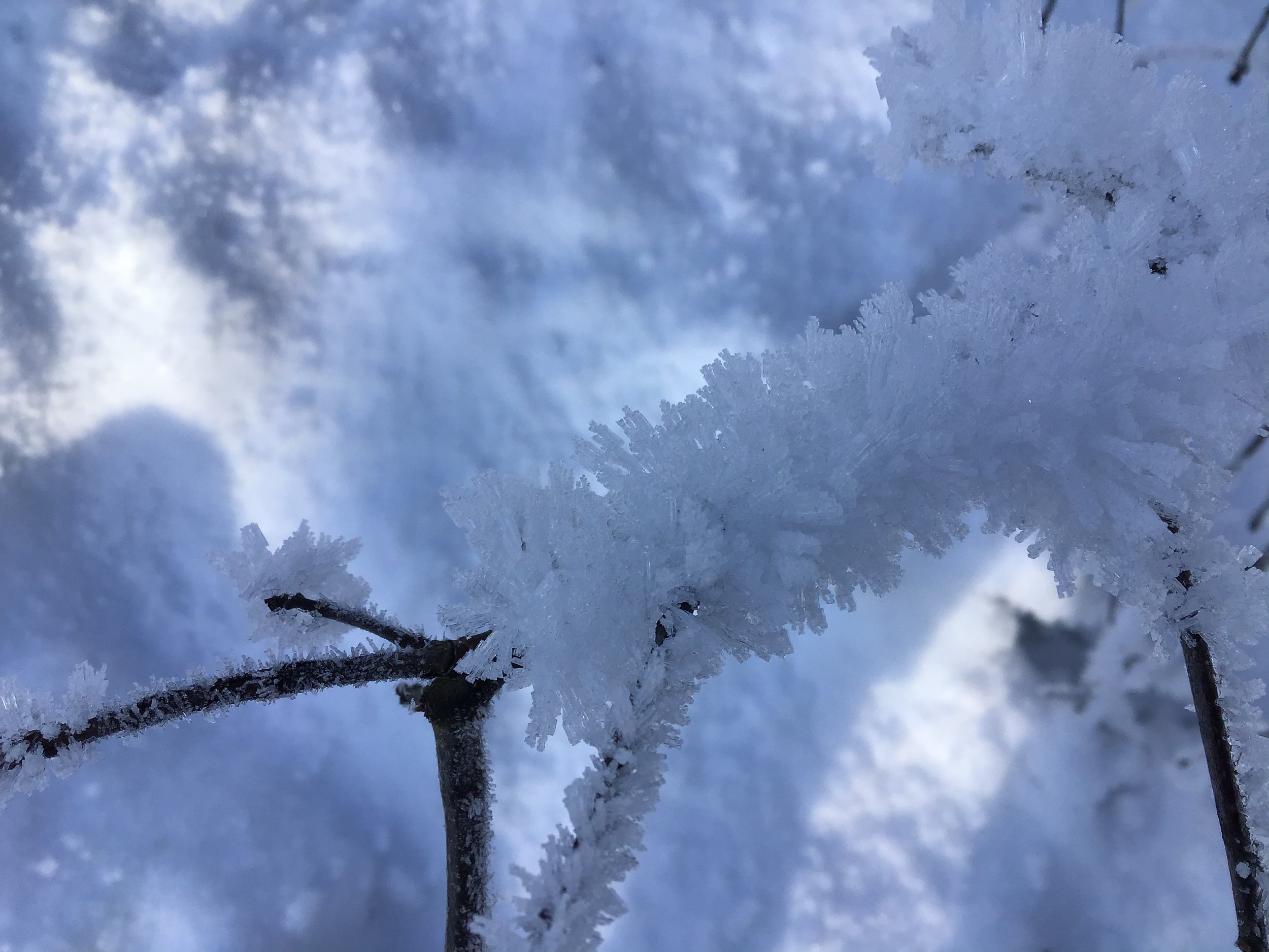 02F8905D-06FE-4CFB-8C04-0771CAA150BE.jpeg