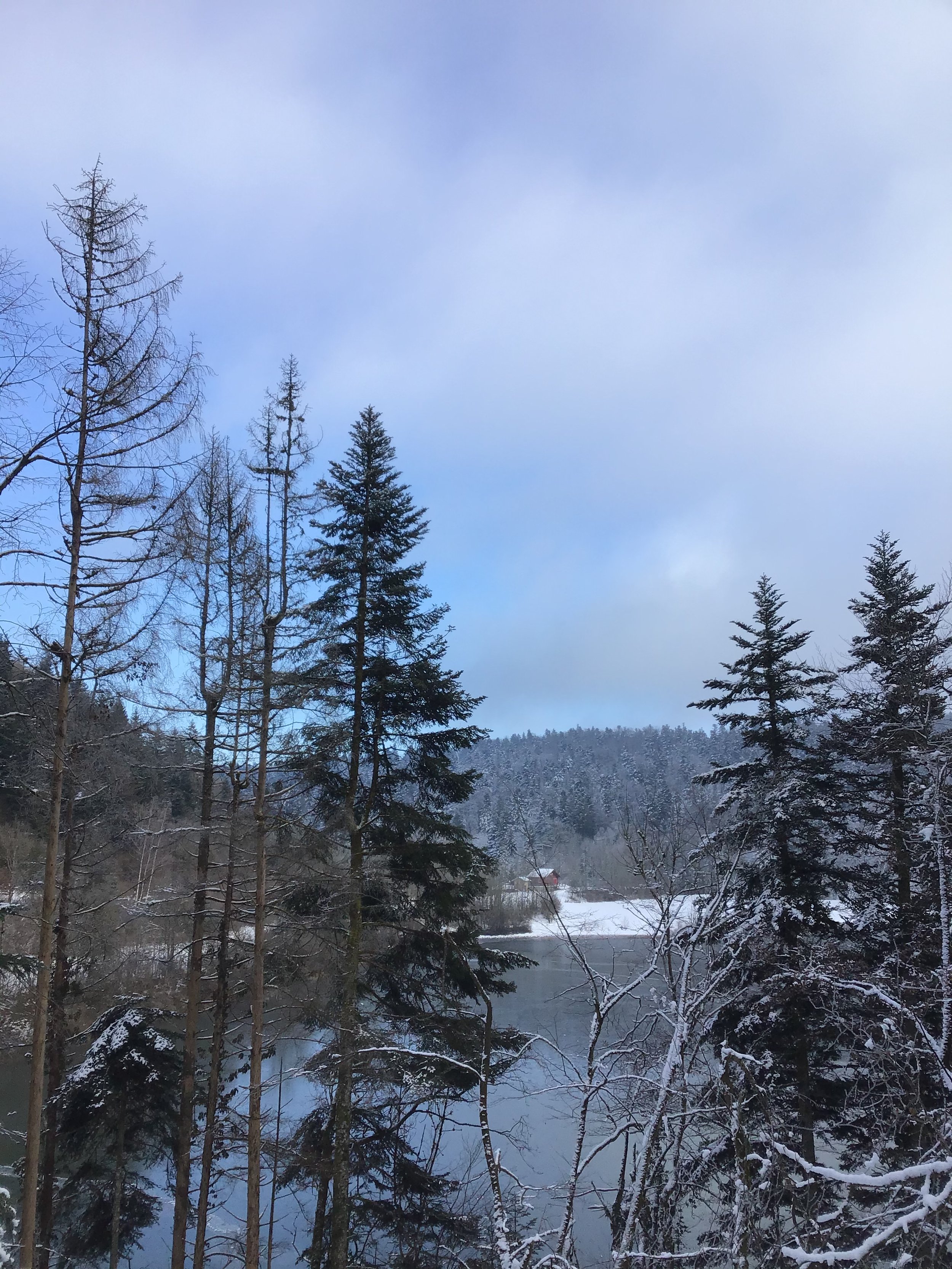 F9616F07-B509-4DB4-8B86-BF2A822A6D59.jpeg