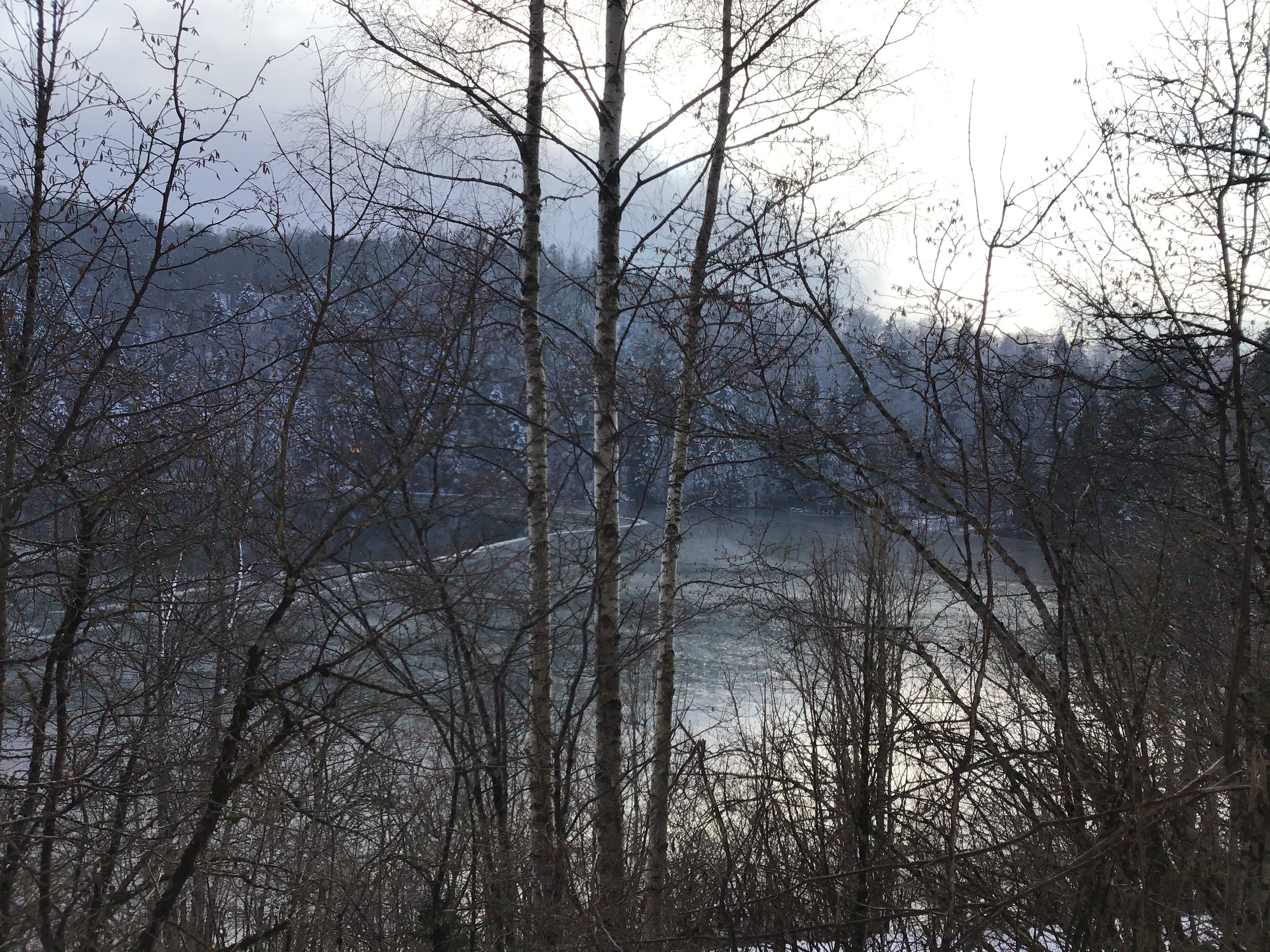 1DF70486-D064-49D4-BDB0-28F9D31AE993.jpeg