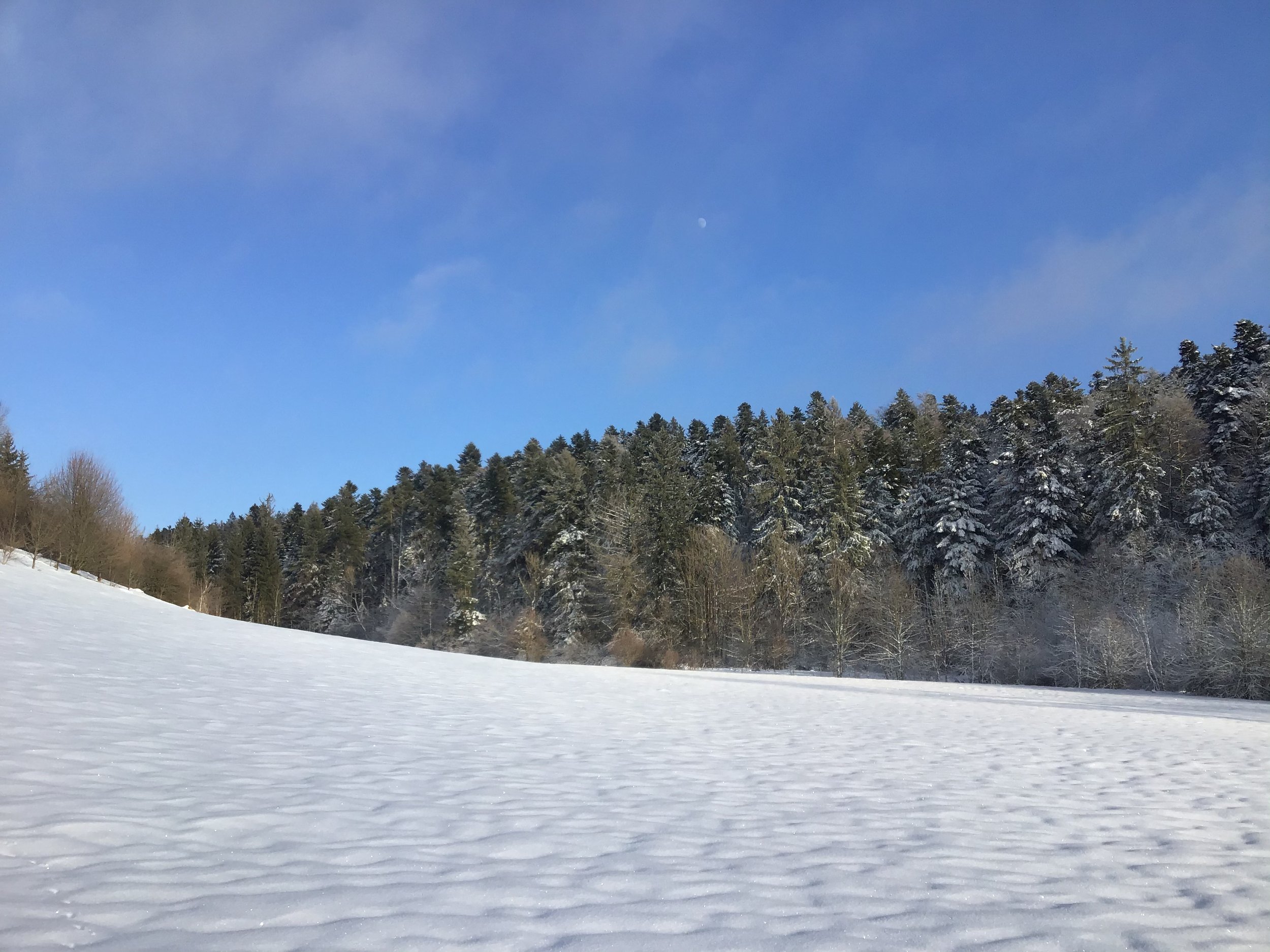 05E88082-E9F9-49D0-A00D-BC6059B50886.jpeg