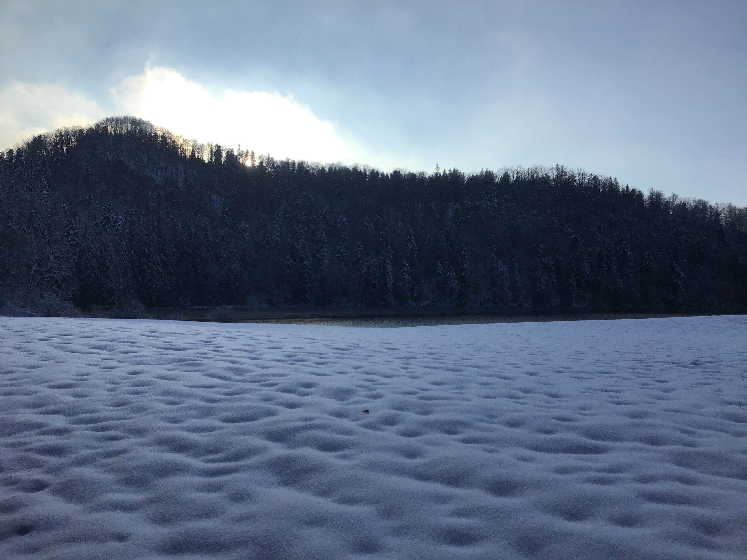 25F9B7A9-258E-4A10-AE6E-BBCEA1E00256.jpeg