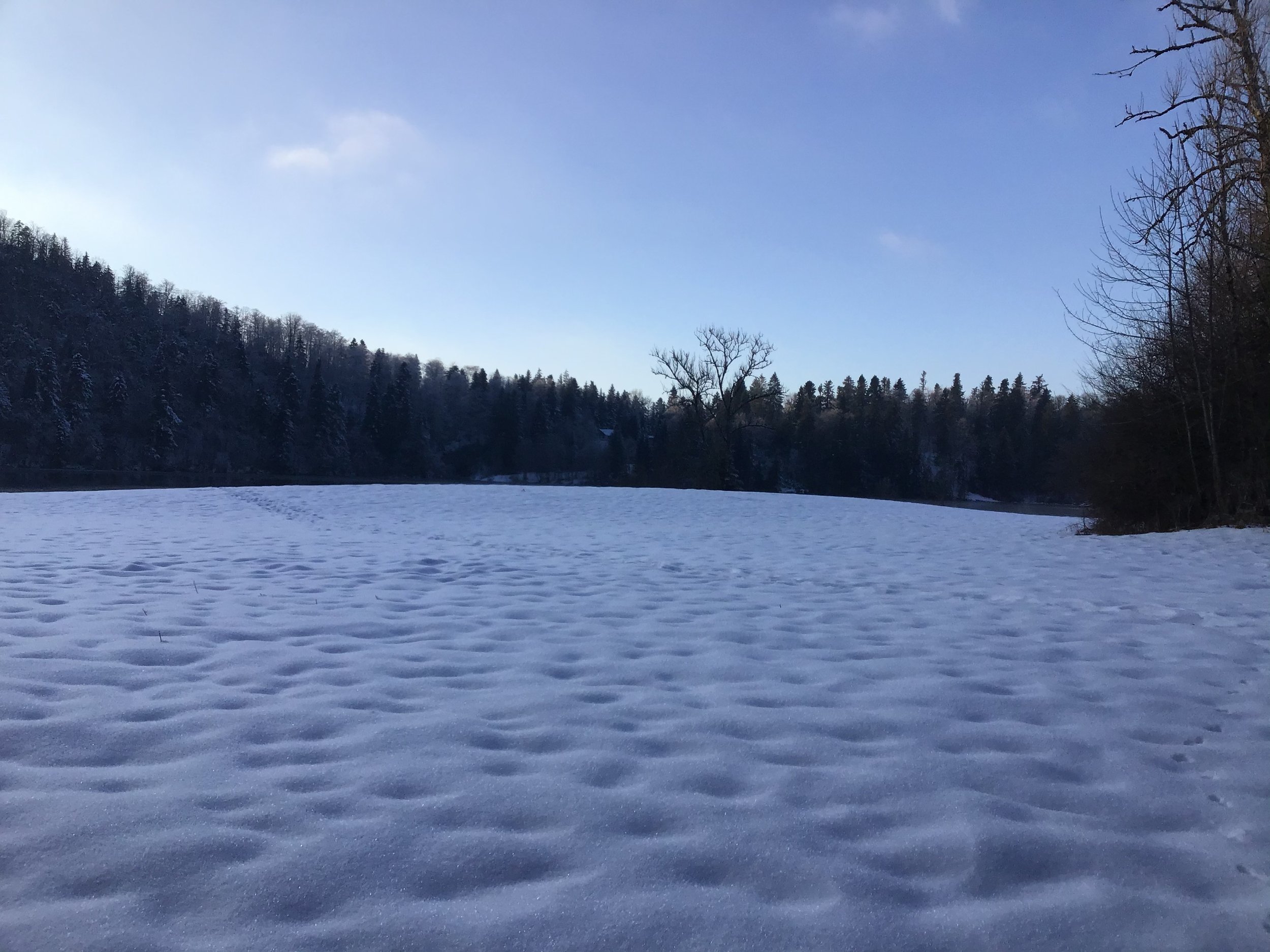 CA6864F9-6A17-4009-B385-3150A6F082FE.jpeg
