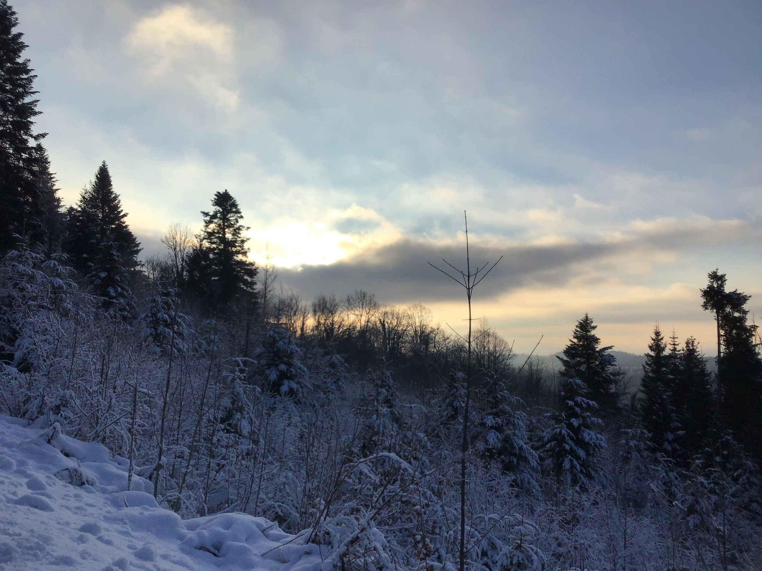 1962D3EA-19D6-4B83-B532-5F1094080459.jpeg