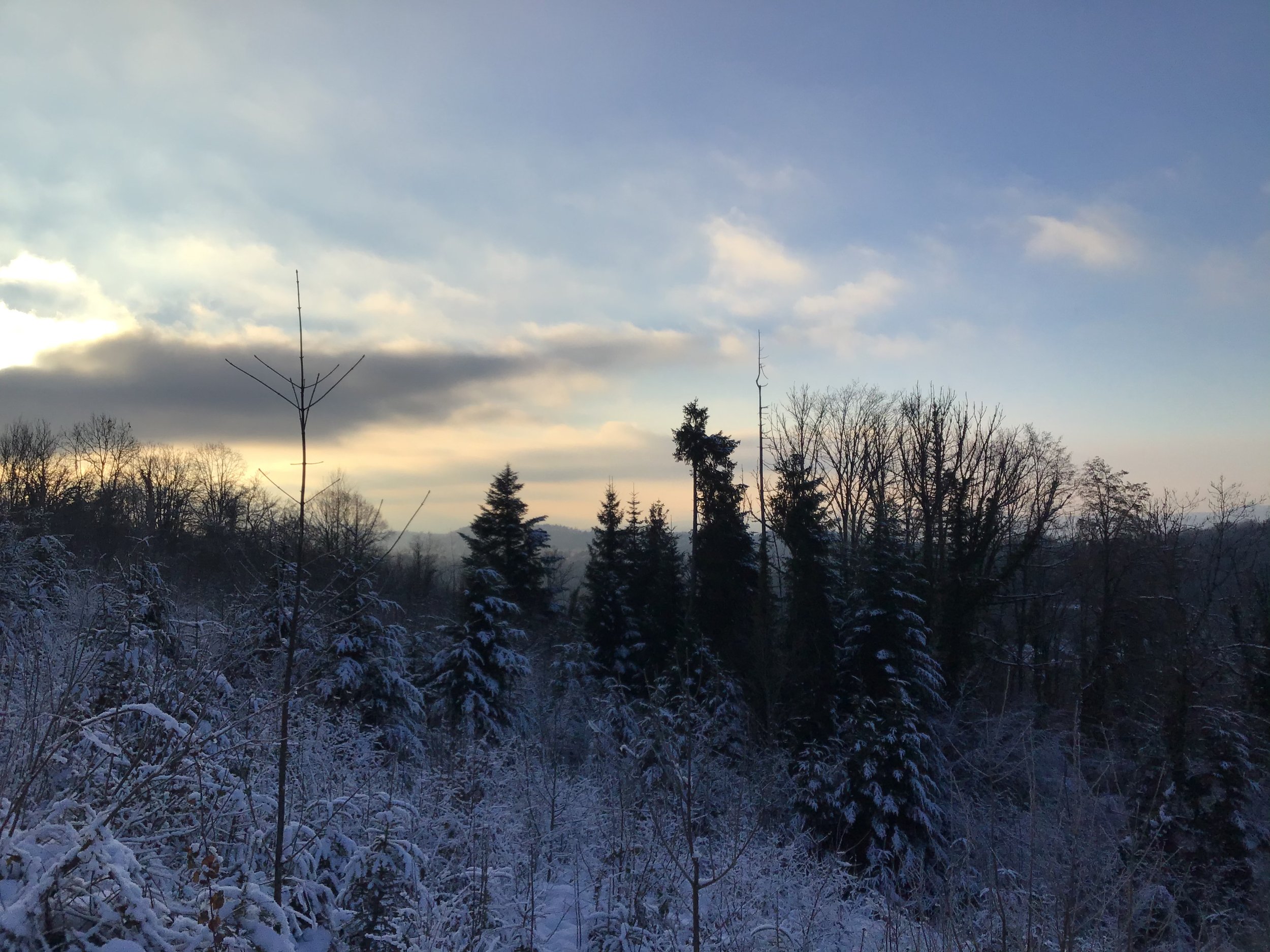 2A5BAAF1-44BA-498D-9934-CCC3202A4146.jpeg