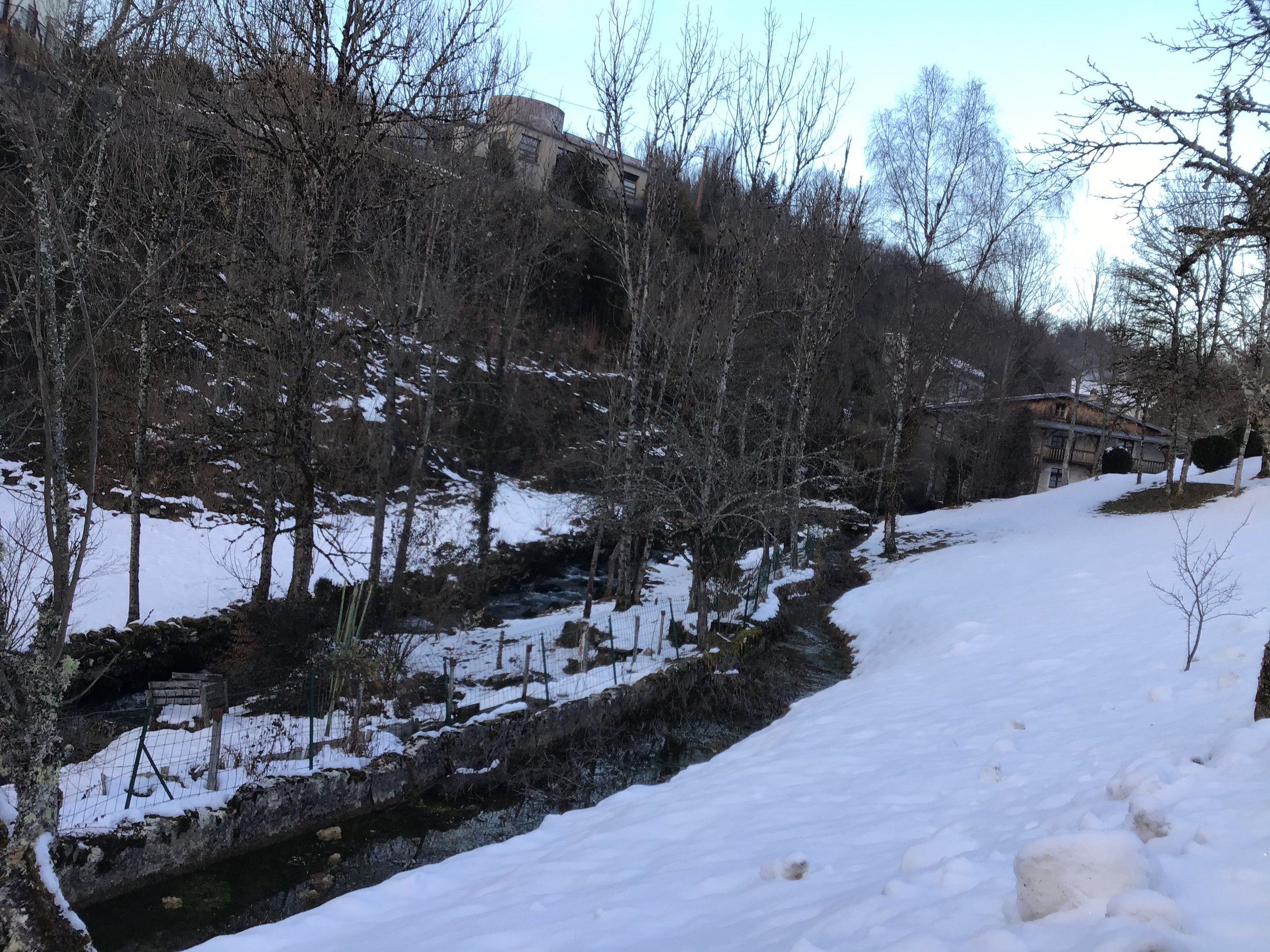 1AA8E3FE-D3B6-401E-AFFE-D869055C22C0.jpeg