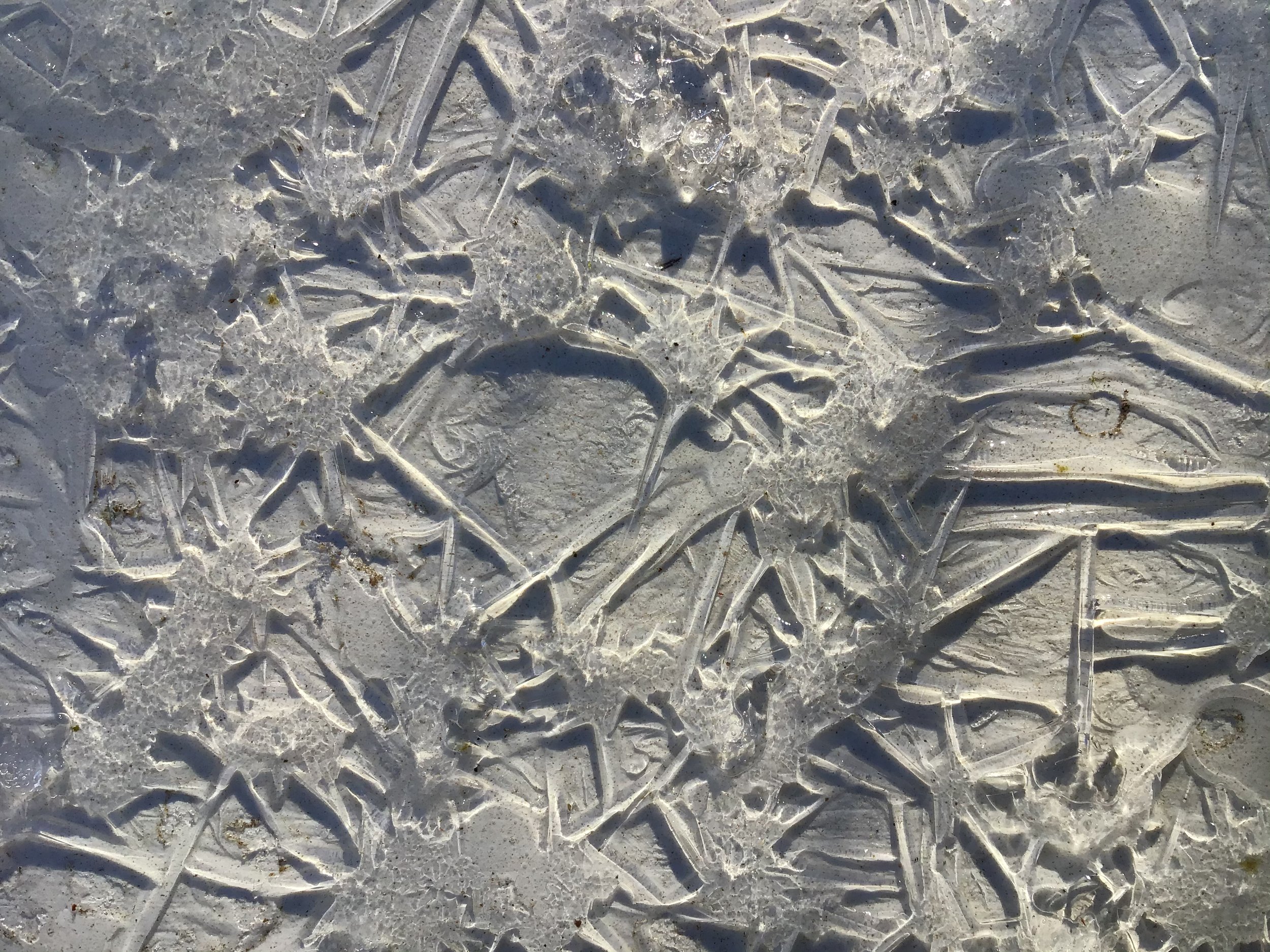 Winter is apparently not gone yet…