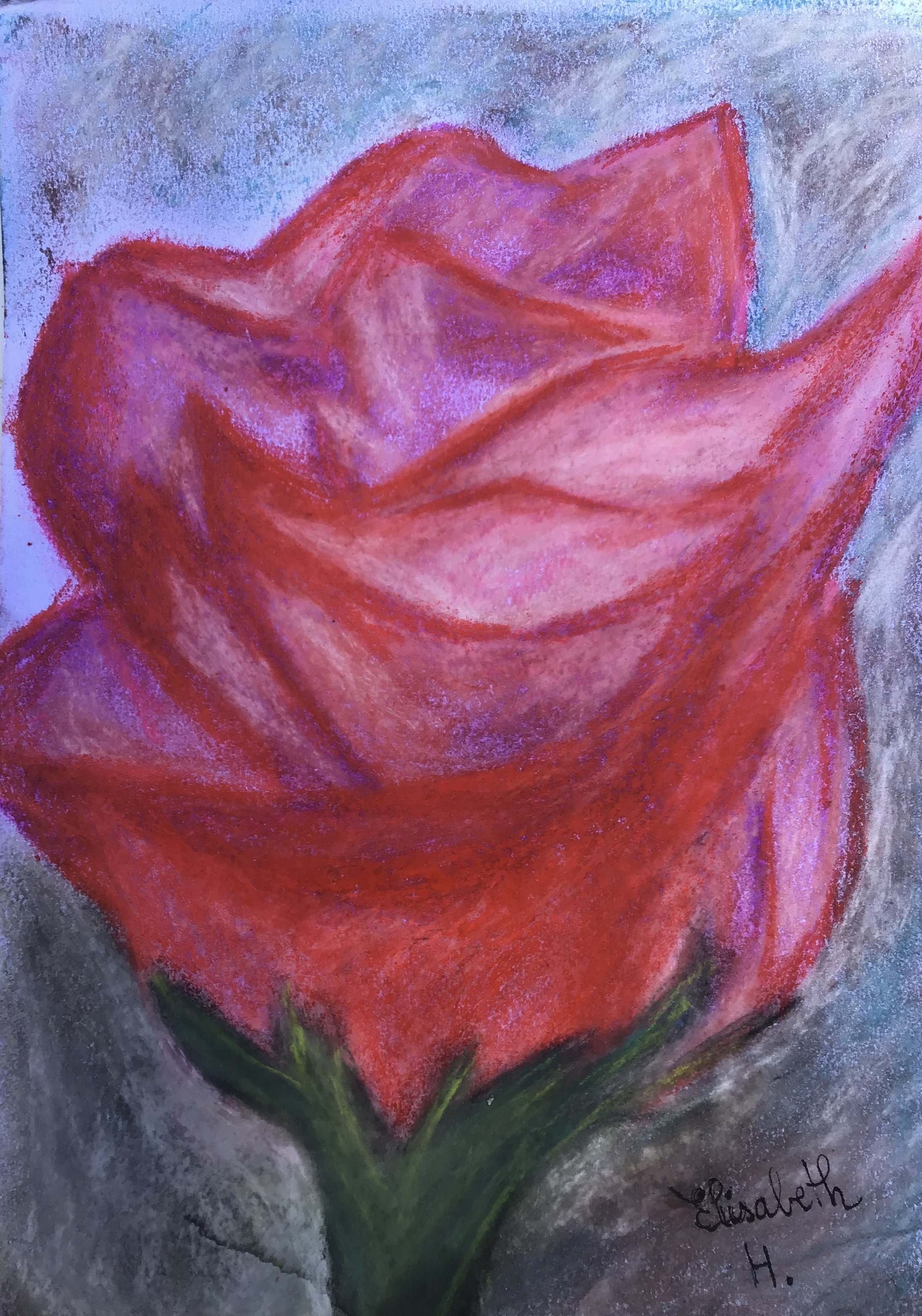 Roses and tears