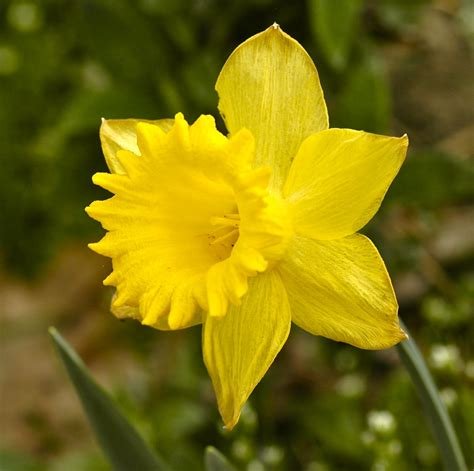 Spring is unstoppable now…