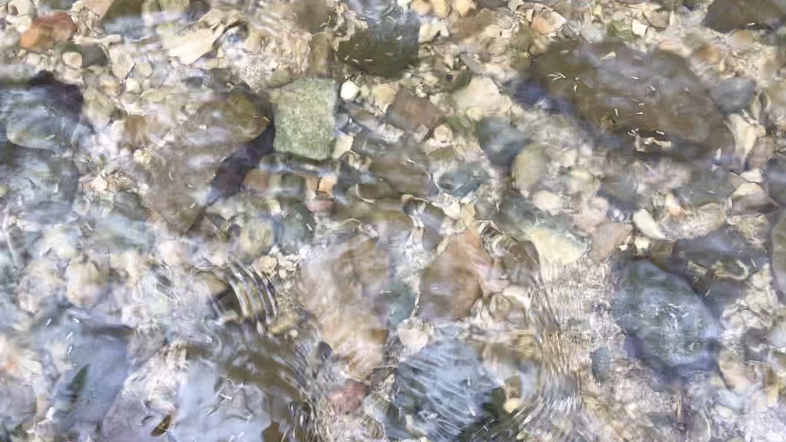The living waters…