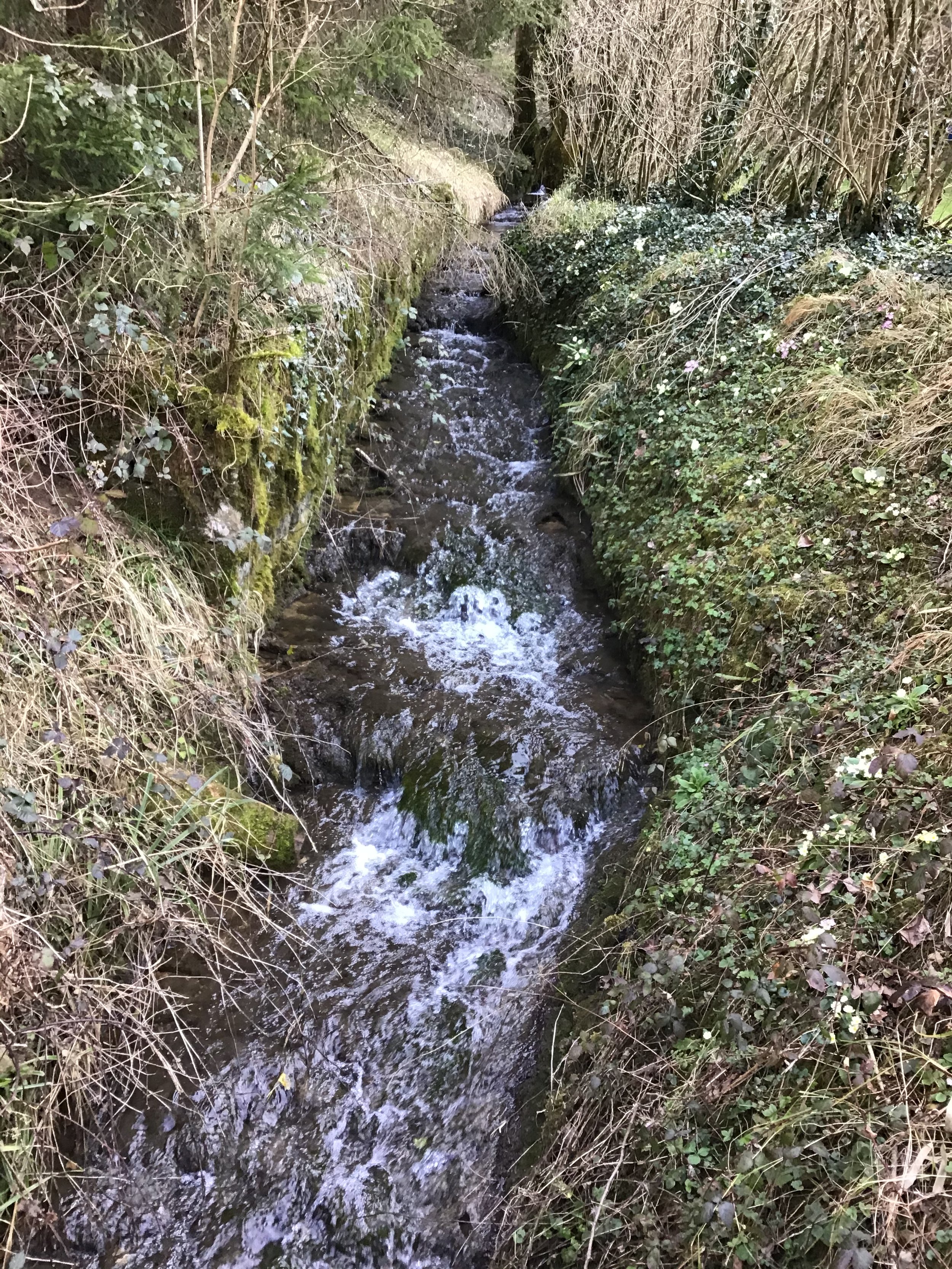 The Diane brook