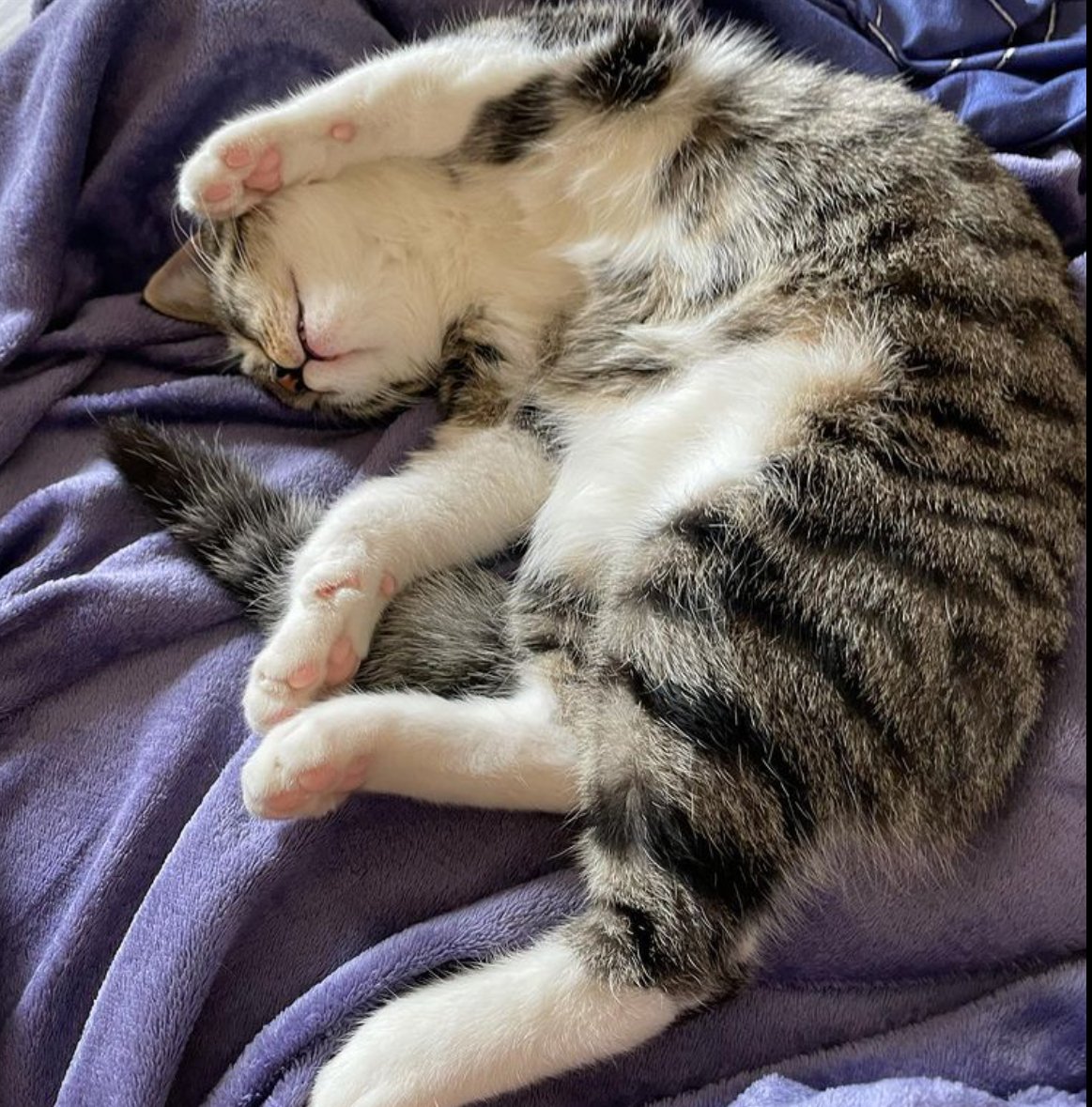 Resting is important