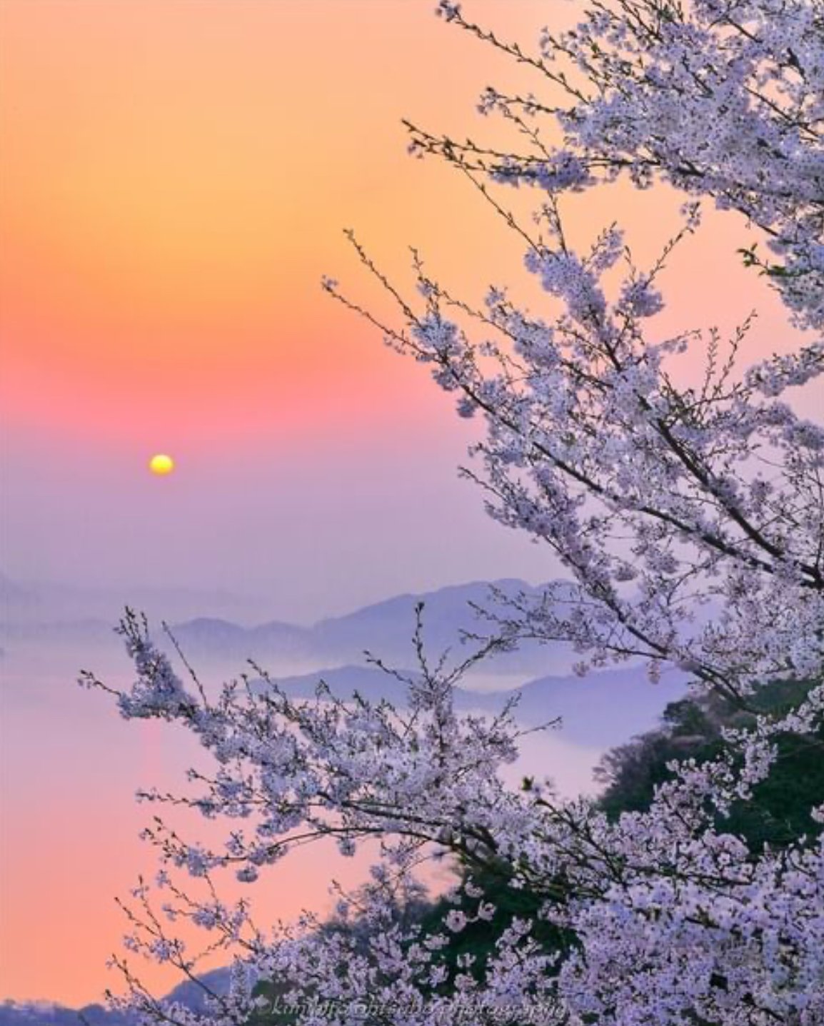 Every morning is a new morning