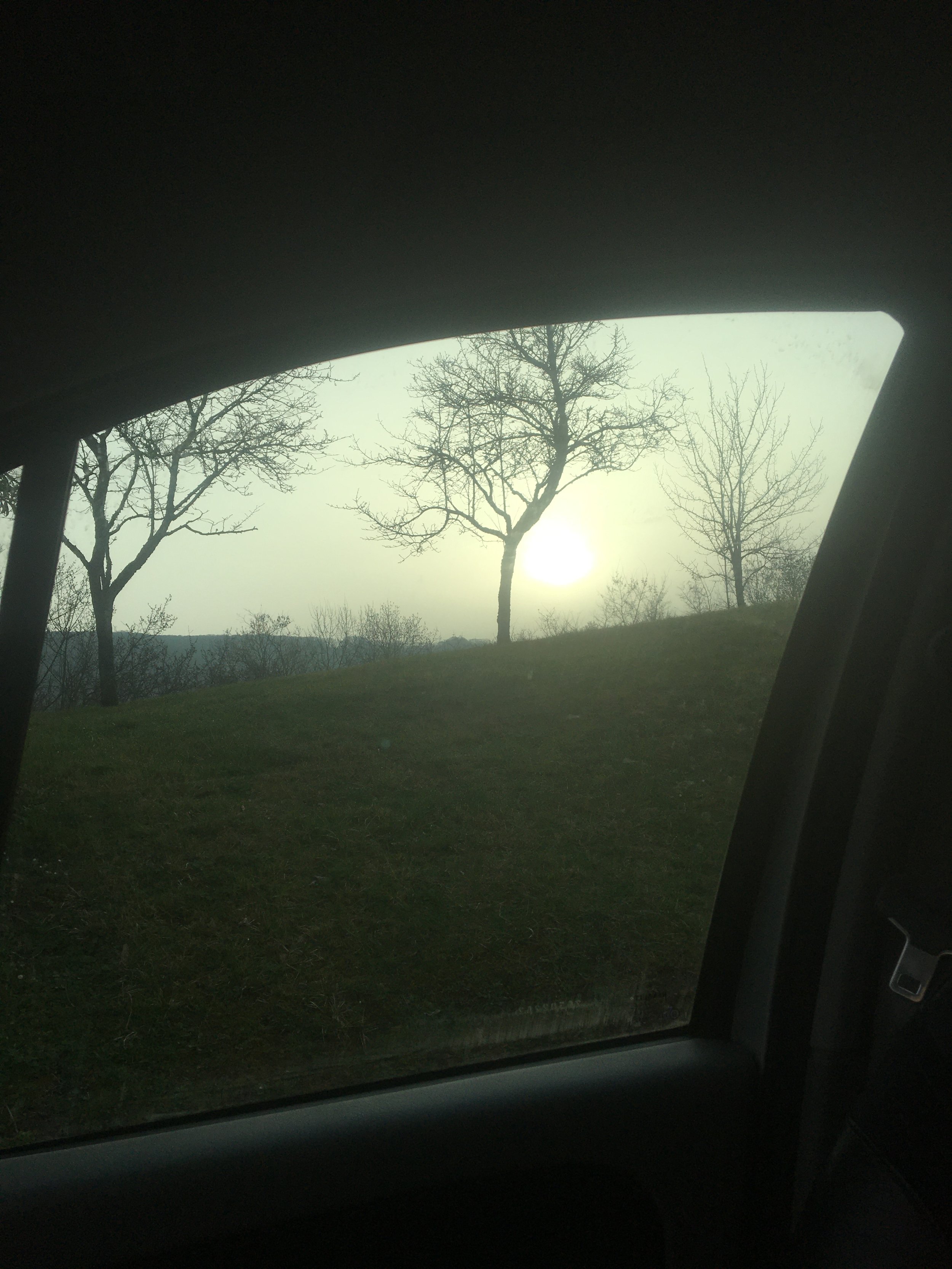 Slow but rich morning rise