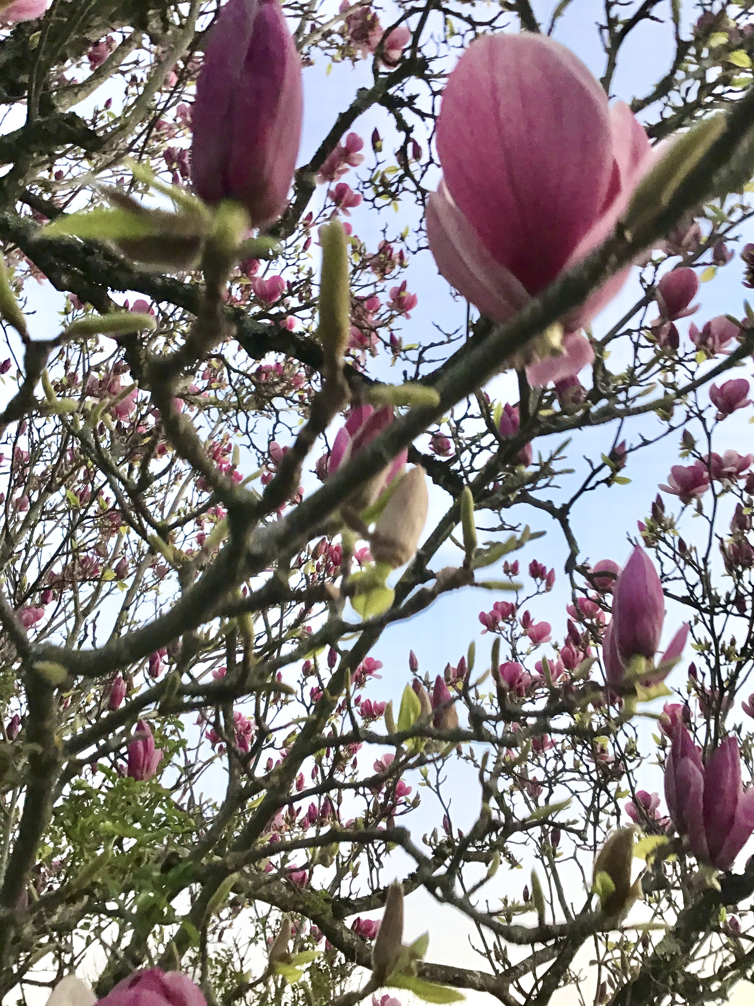Let’s spring forward!