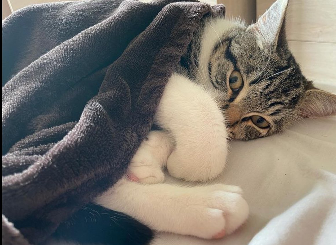 Lazy Sunday