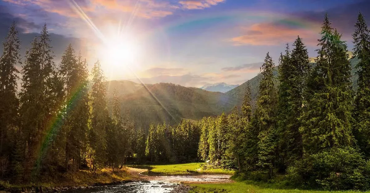🌅Bringing Paradise on Earth | Zurich soundhealings