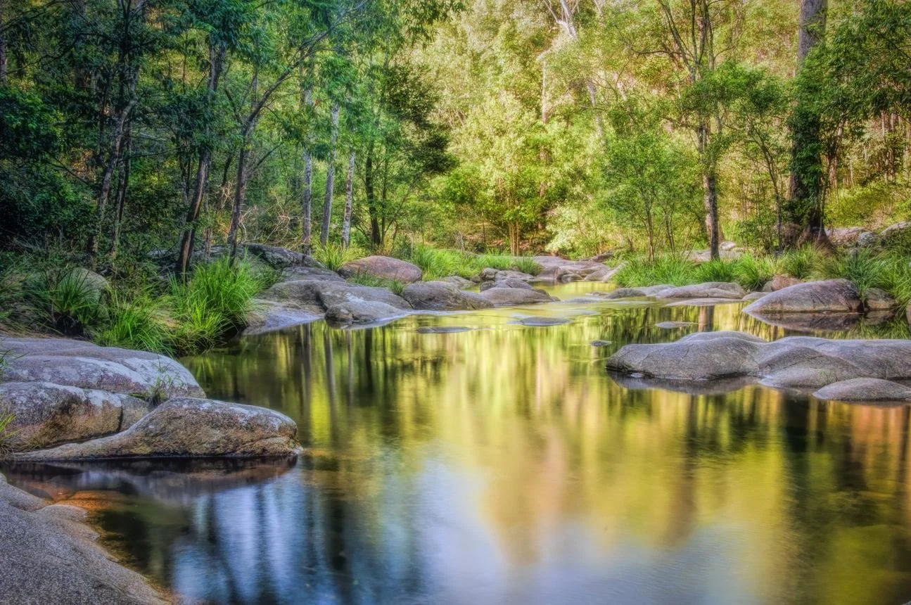 Return to Her Retreat🌿