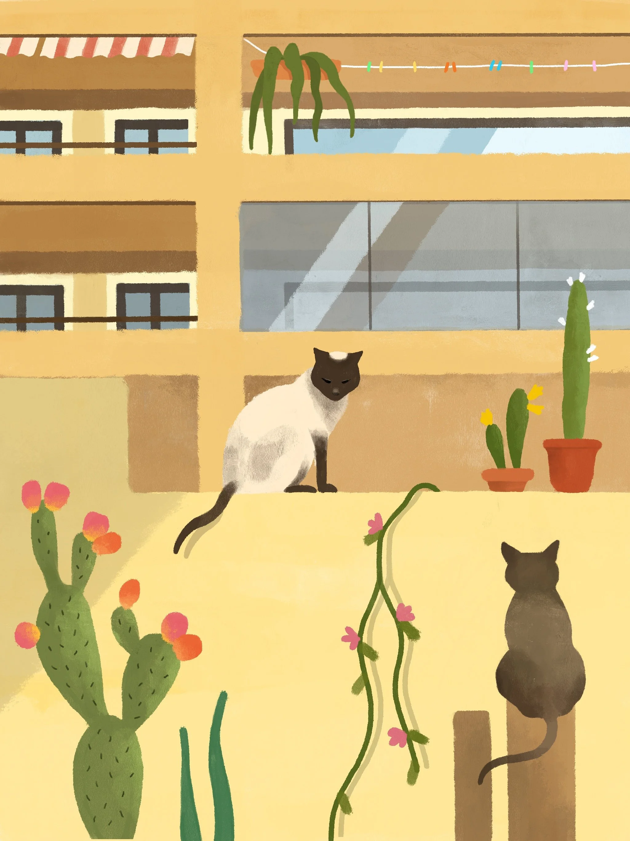 Tenerife cats.jpg