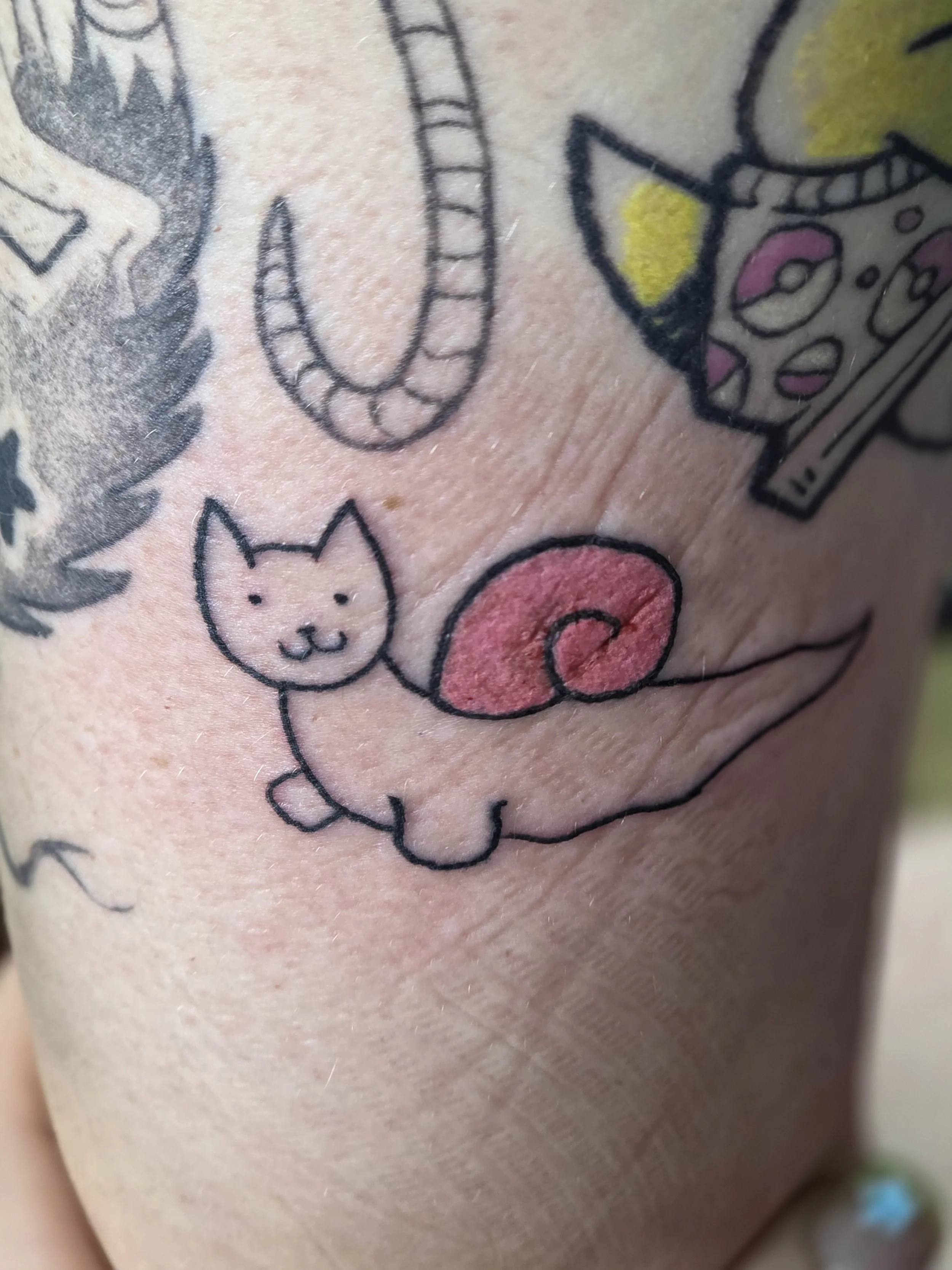 ORIGINAL DESIGN BY ME - SNAT