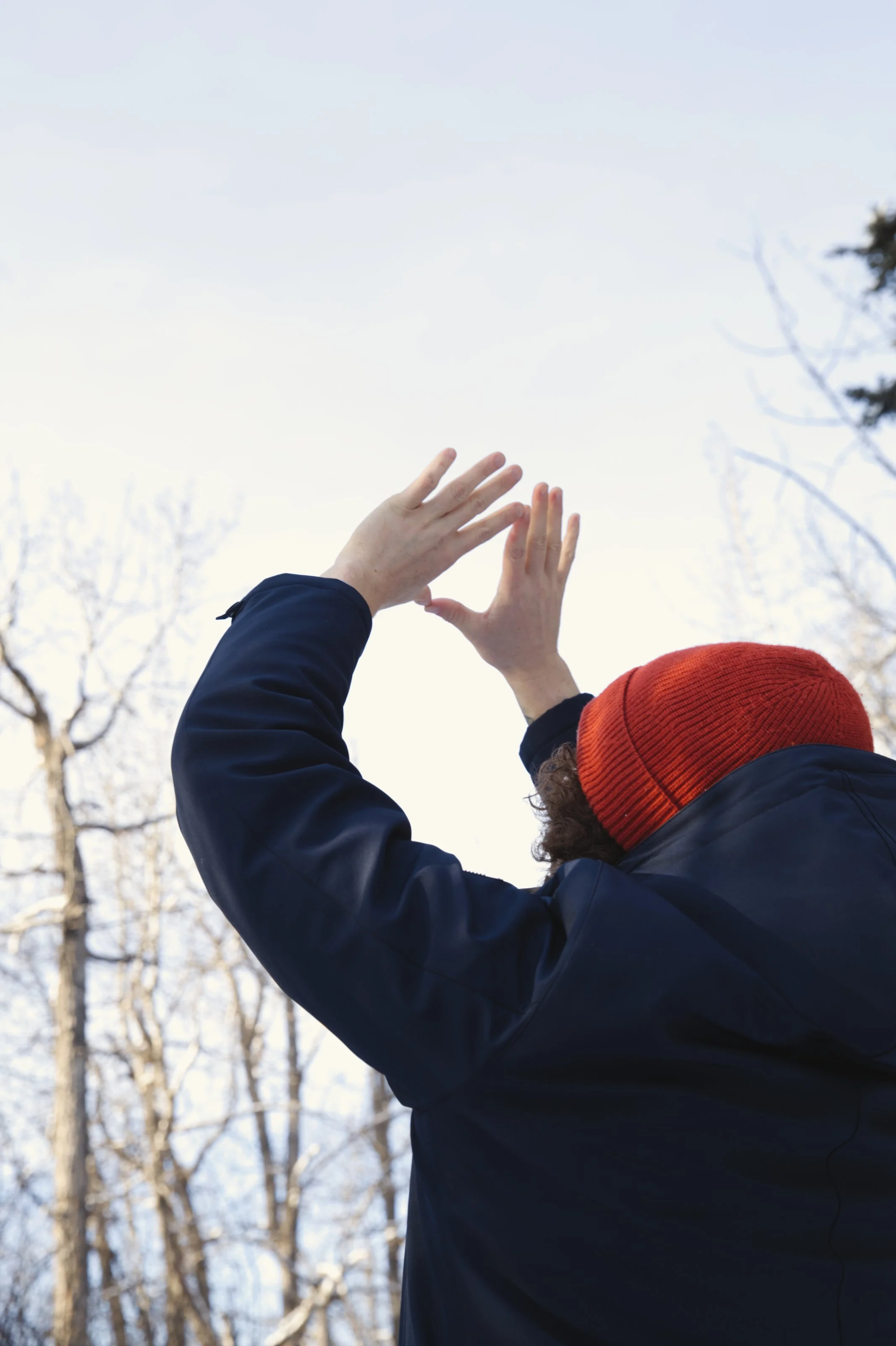 One-on-one Medical Qigong session using movement and breathwork to support nervous system regulation and wellbeing.