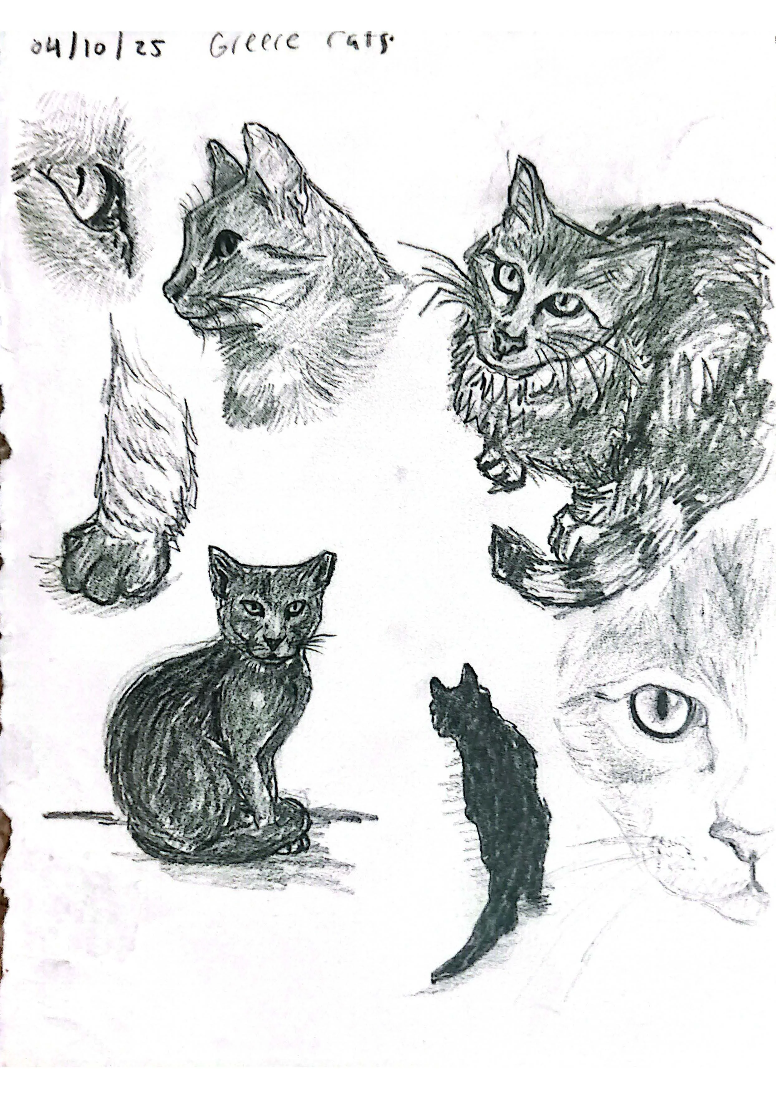 Last 44 pages combined file_Page_01.jpg