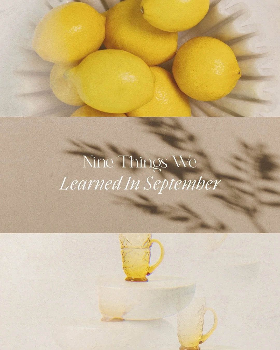 Here are a few things we learned in September 💛 Share the one that resonates with you most to your story &mdash; you never know who might need the reminder too!