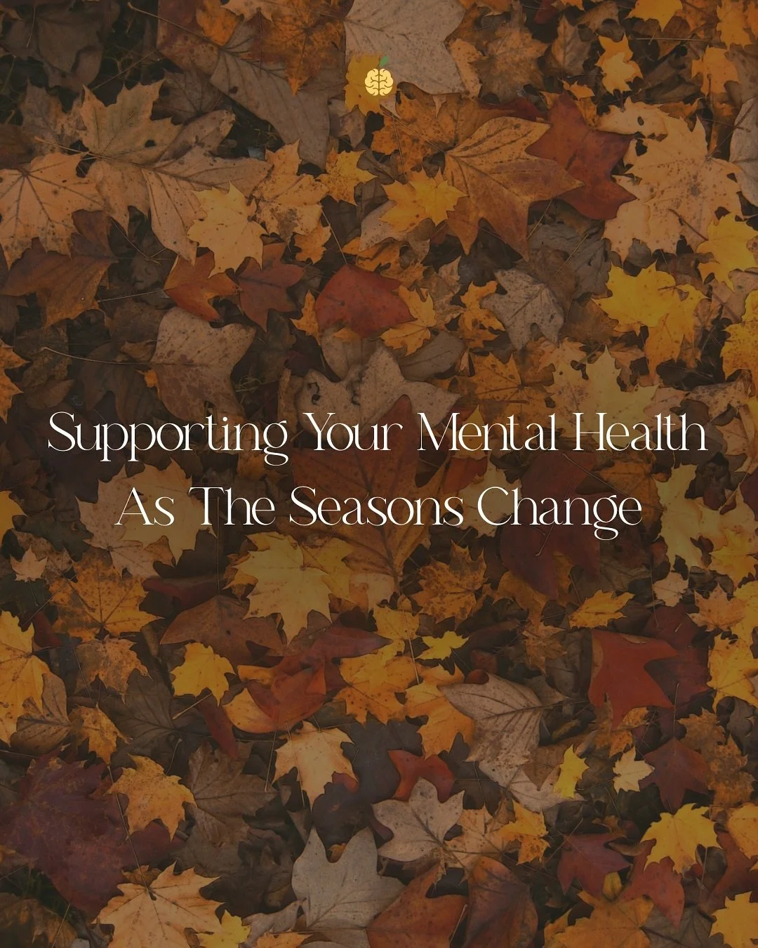 The shift into fall doesn&rsquo;t just bring cooler temps &mdash; it can also impact your energy, mood, and overall mental health.⁠ Here are a few simple ways to support yourself as the seasons change &rarr;