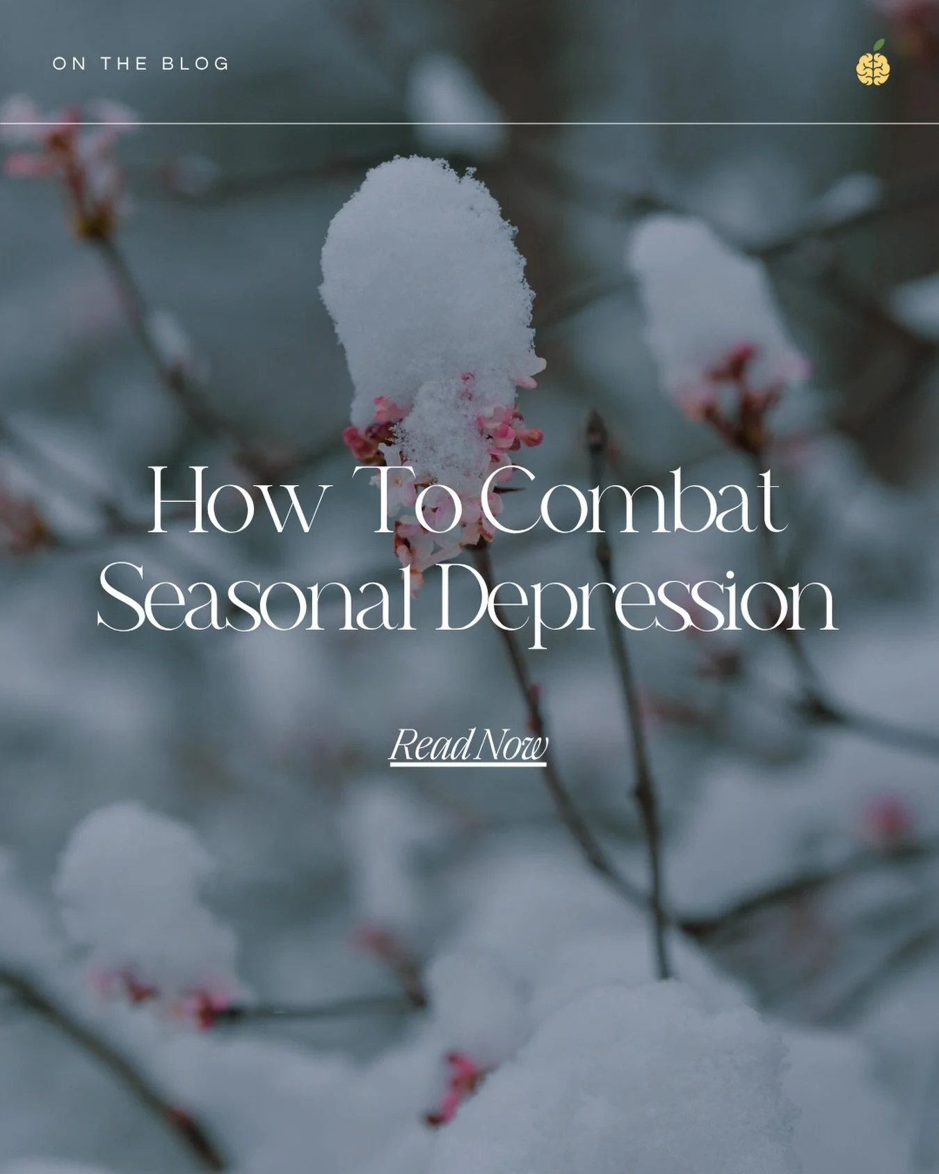 Feeling the effects of shorter days and colder weather? Seasonal depression can make this time of year challenging, but there are ways to lift your mood and manage it! Read our latest blog post at the link in our bio for ways to combat seasonal depre