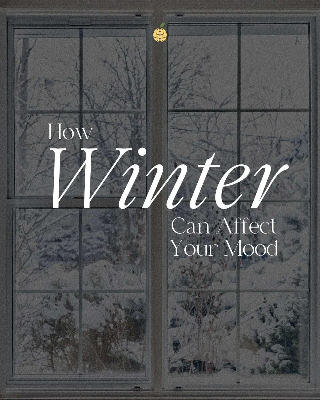 Winter asks more from our nervous systems than we often realize. Less light, less movement, and slower days can all influence how we feel emotionally. If your energy feels lower or your mood feels heavier right now, that&rsquo;s normal! Swipe to lear